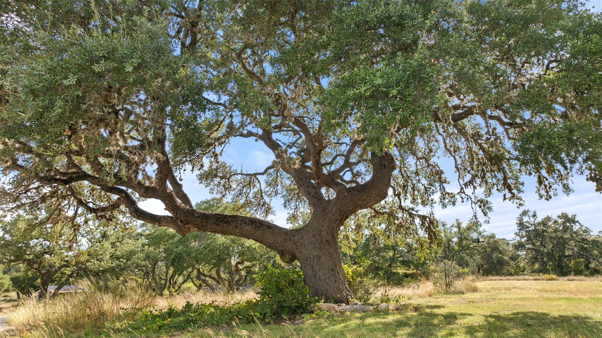 5776 FM 165, Blanco, TX 78636