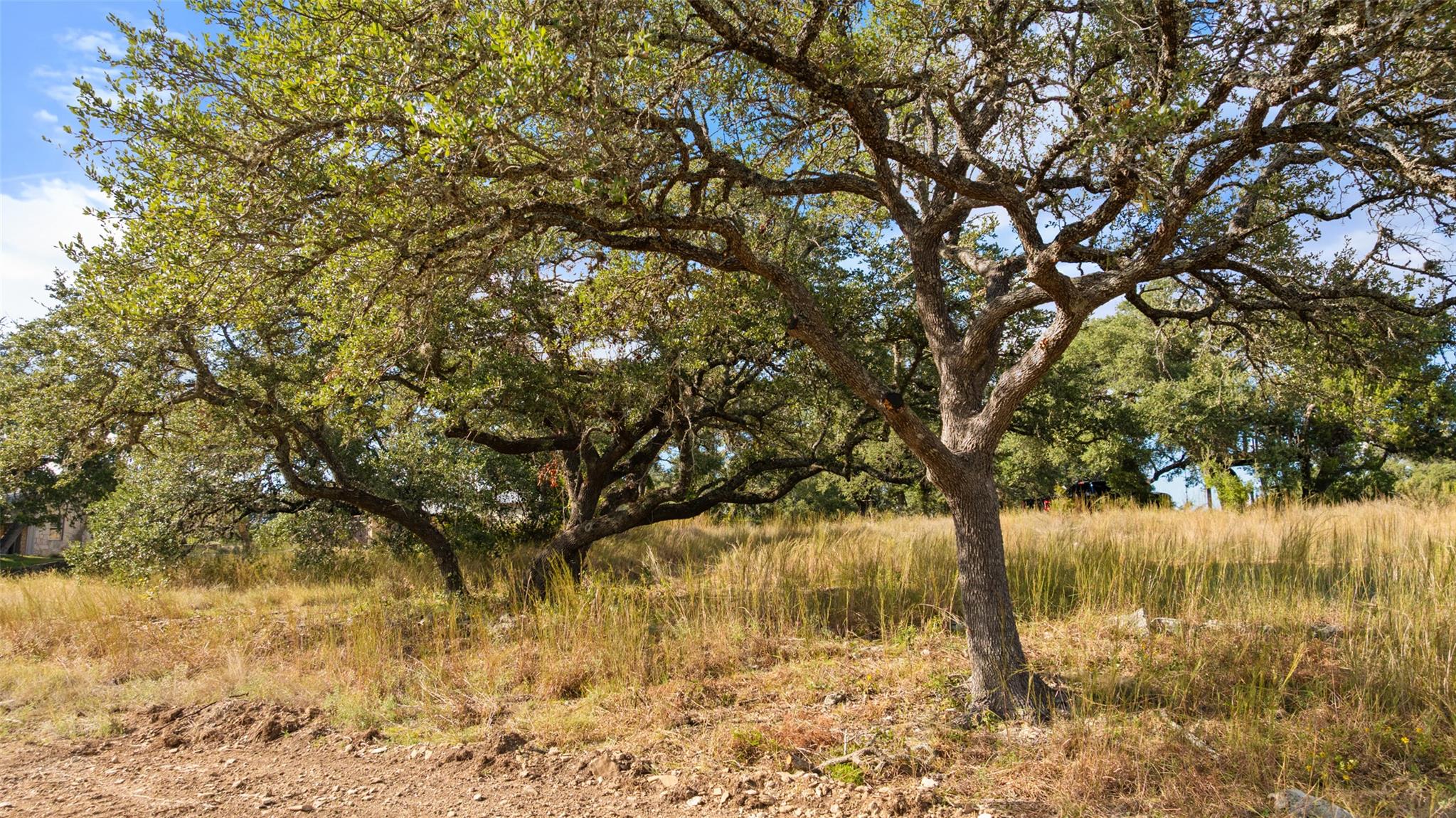 5776 FM 165, Blanco, TX 78636