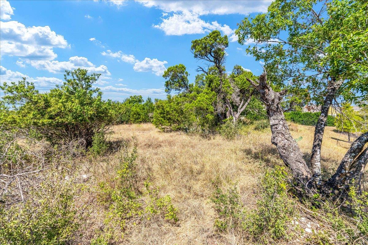 2021 Local Rebel St # 2021, Leander, TX 78641