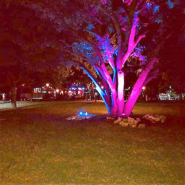 10617 Garbacz, Austin, TX 78748