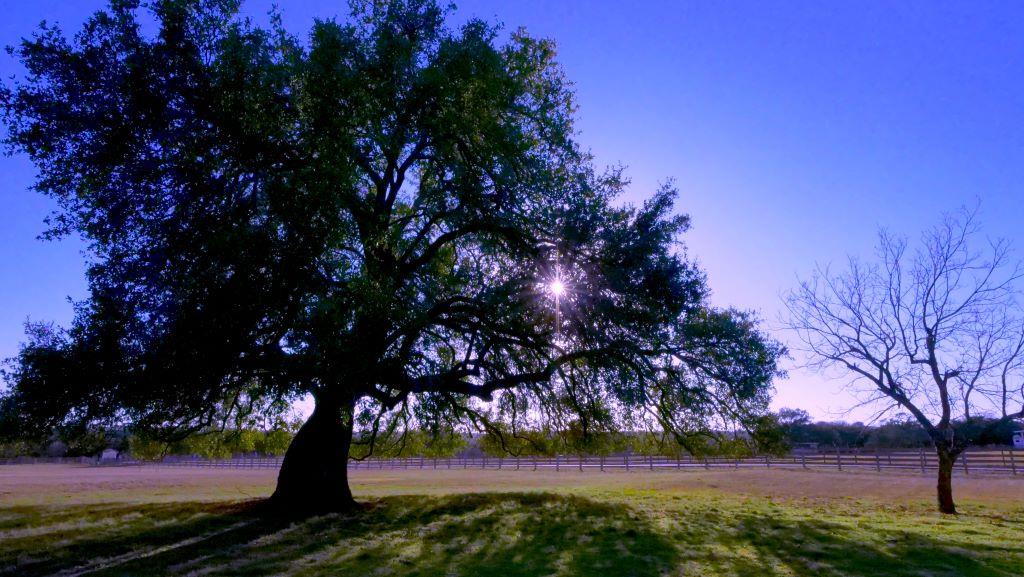 1115 County Road 414, Spicewood, TX 78669