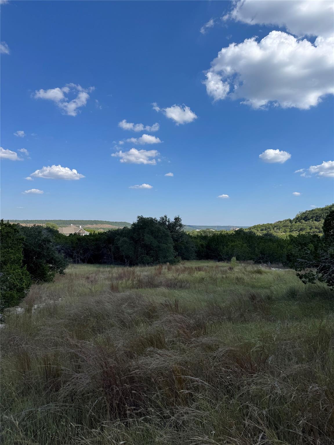 109 South Creek Cir, Bertram, TX 78605