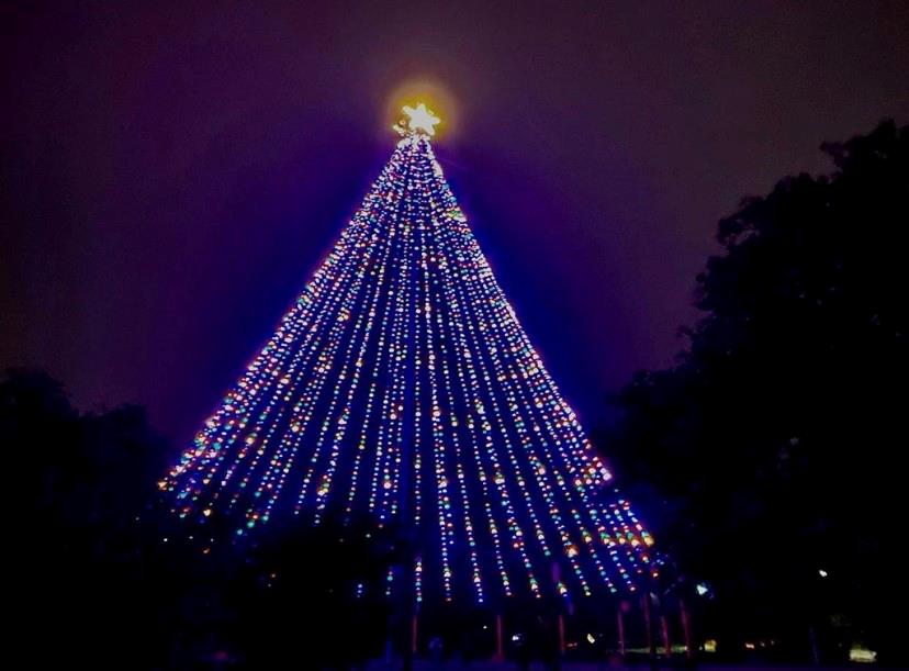 807 Azie Morton Rd # A, Austin, TX 78704