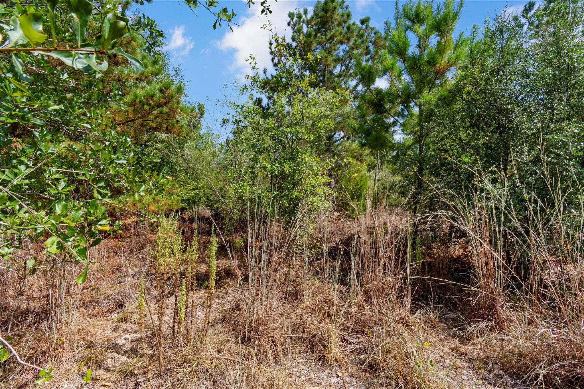 TBD Tonkawa Dr, Paige, TX 78659