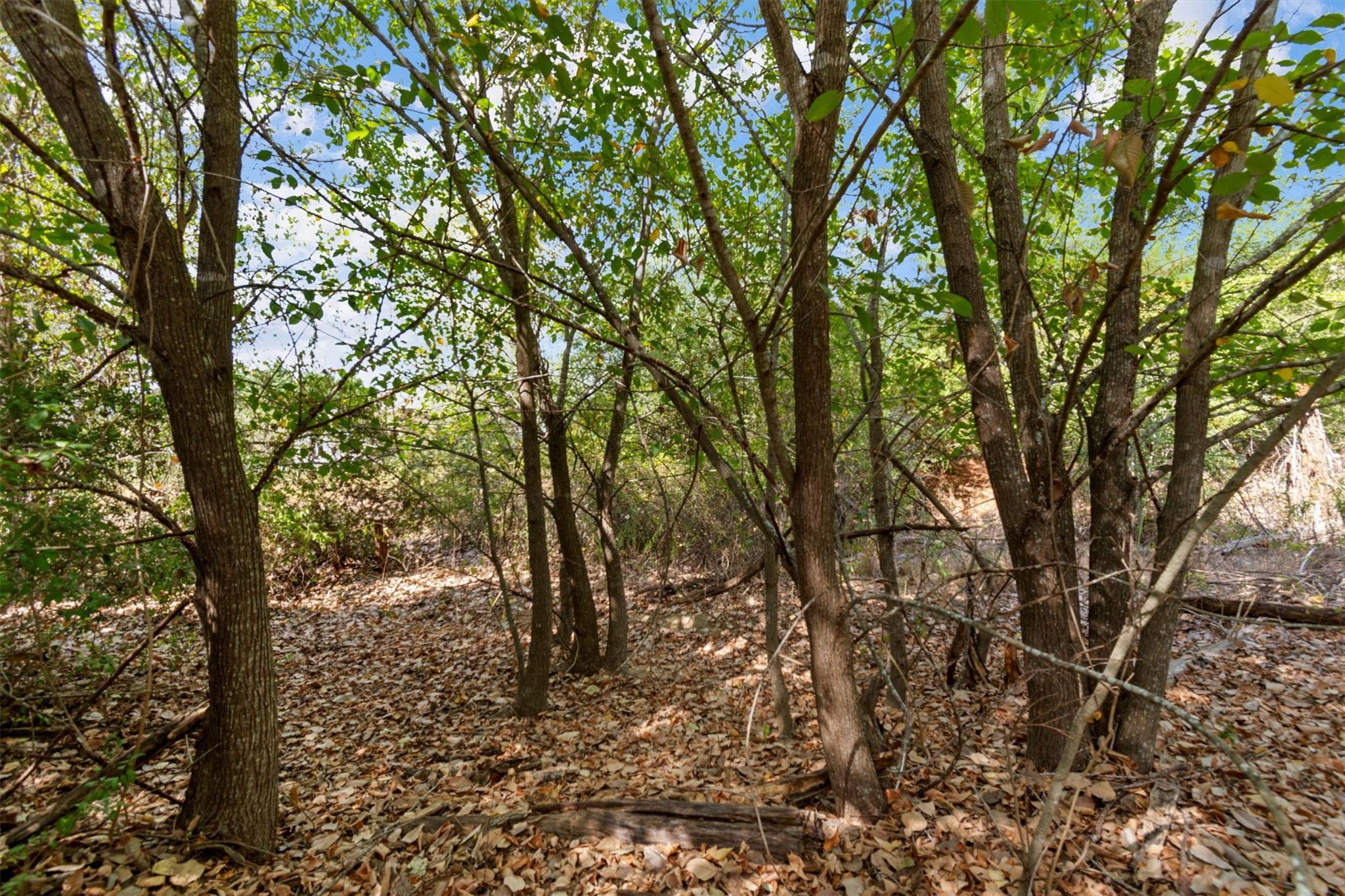 TBD Tonkawa Dr, Paige, TX 78659