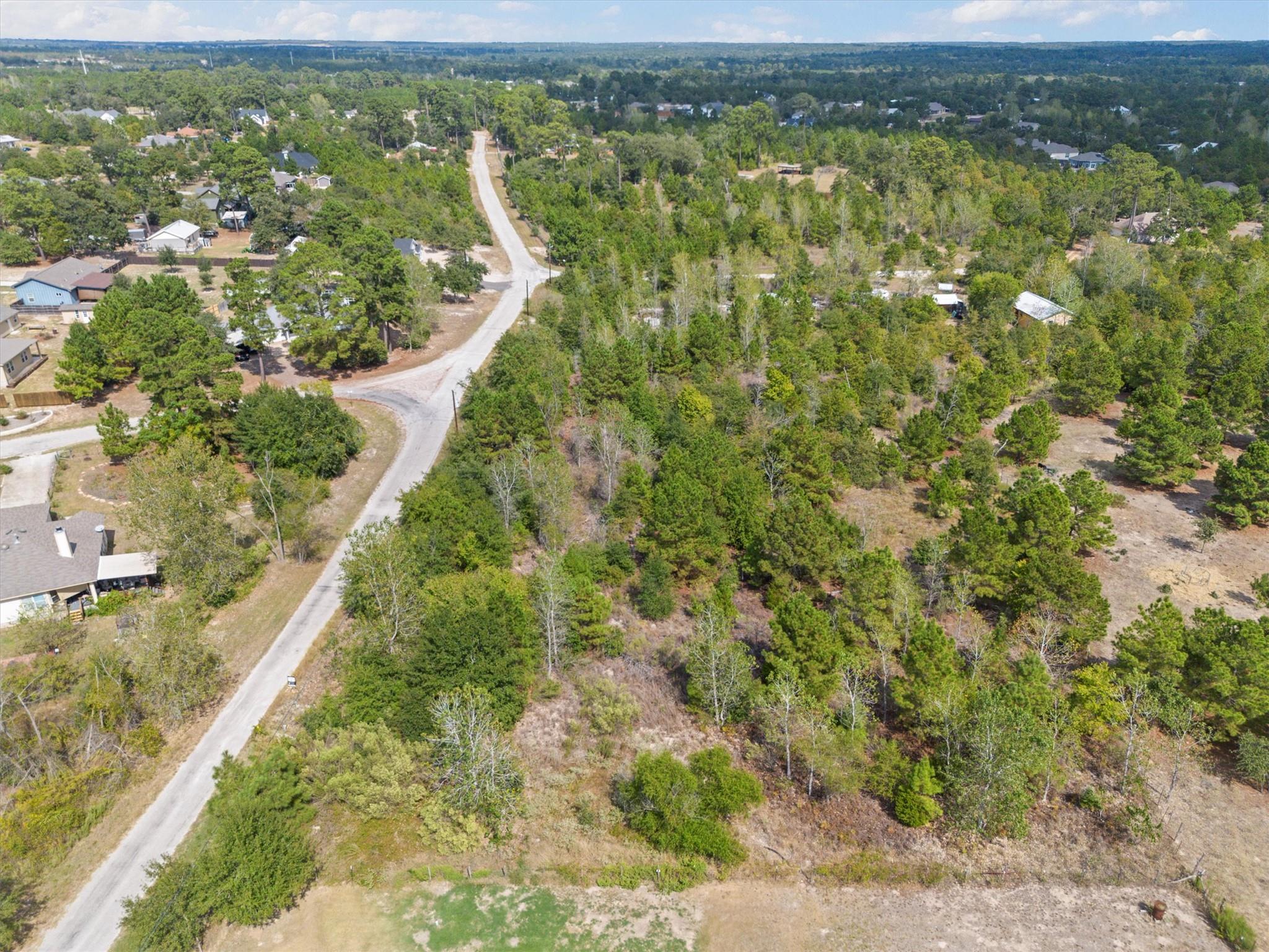 TBD Tonkawa Dr, Paige, TX 78659