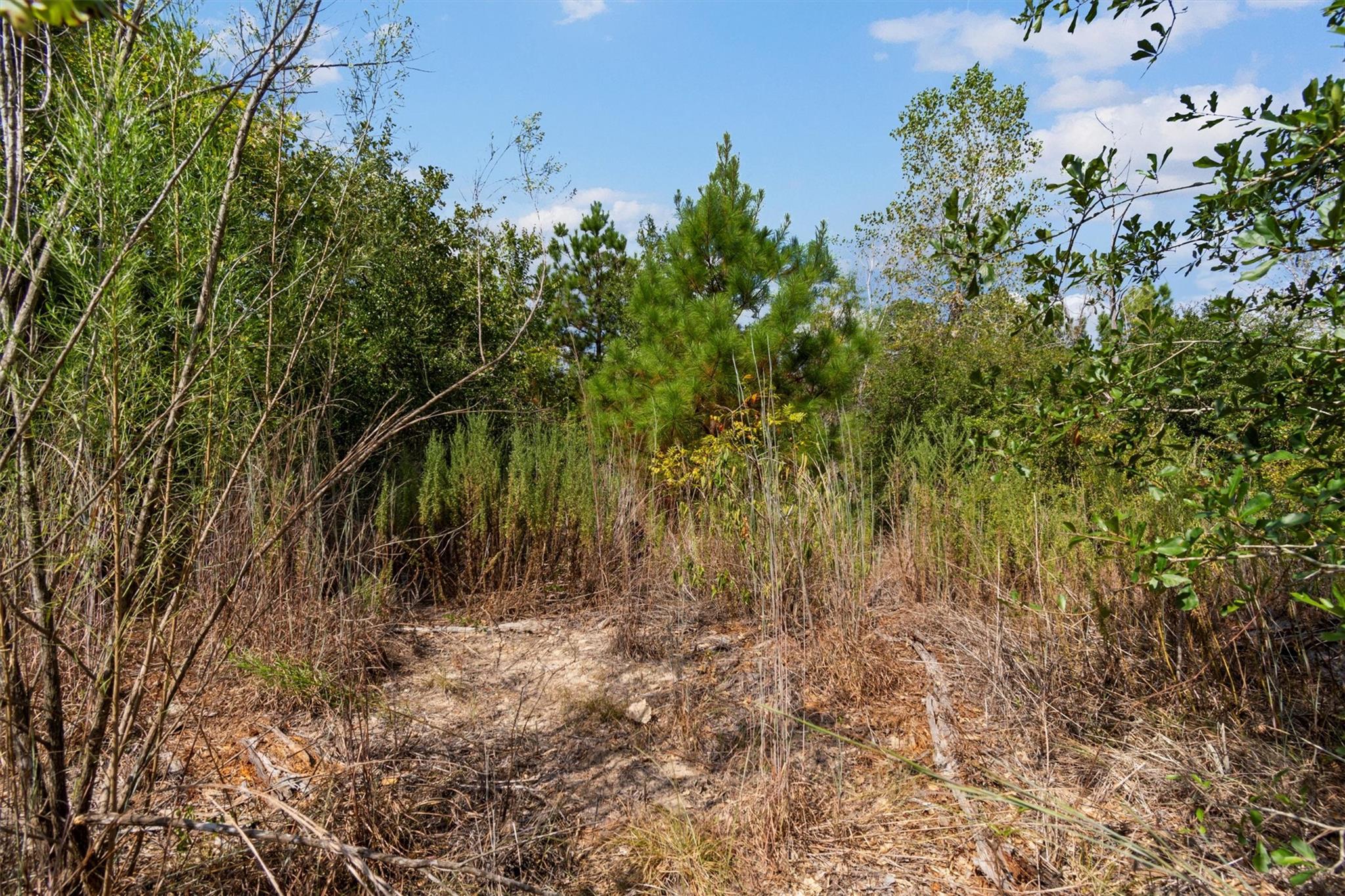 TBD Tonkawa Dr, Paige, TX 78659