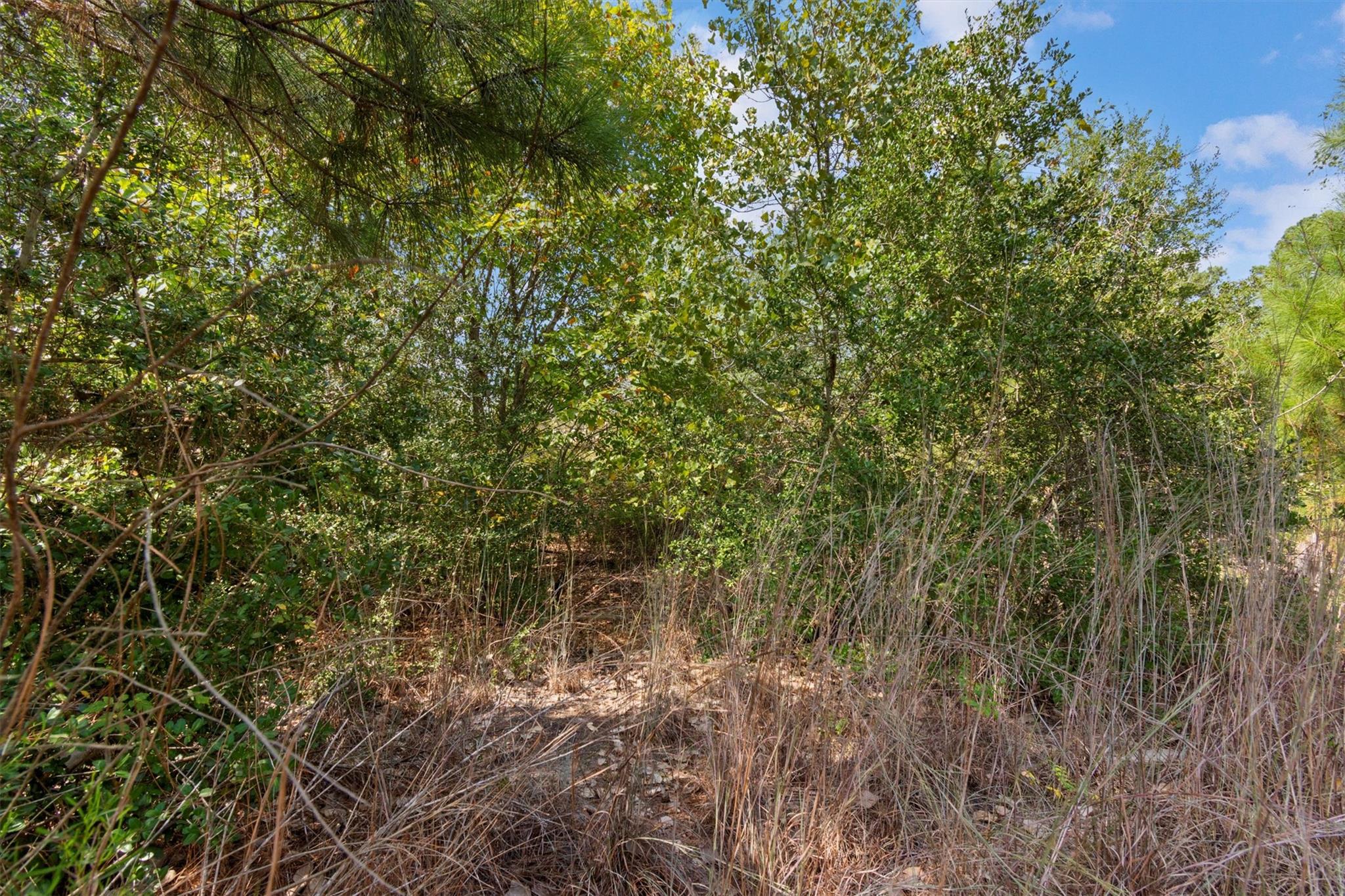 TBD Tonkawa Dr, Paige, TX 78659