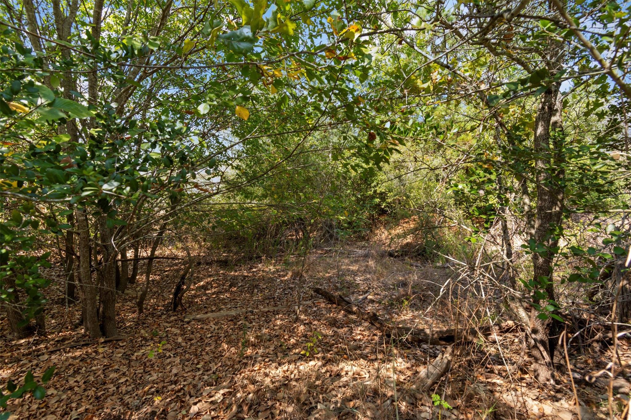 TBD Tonkawa Dr, Paige, TX 78659