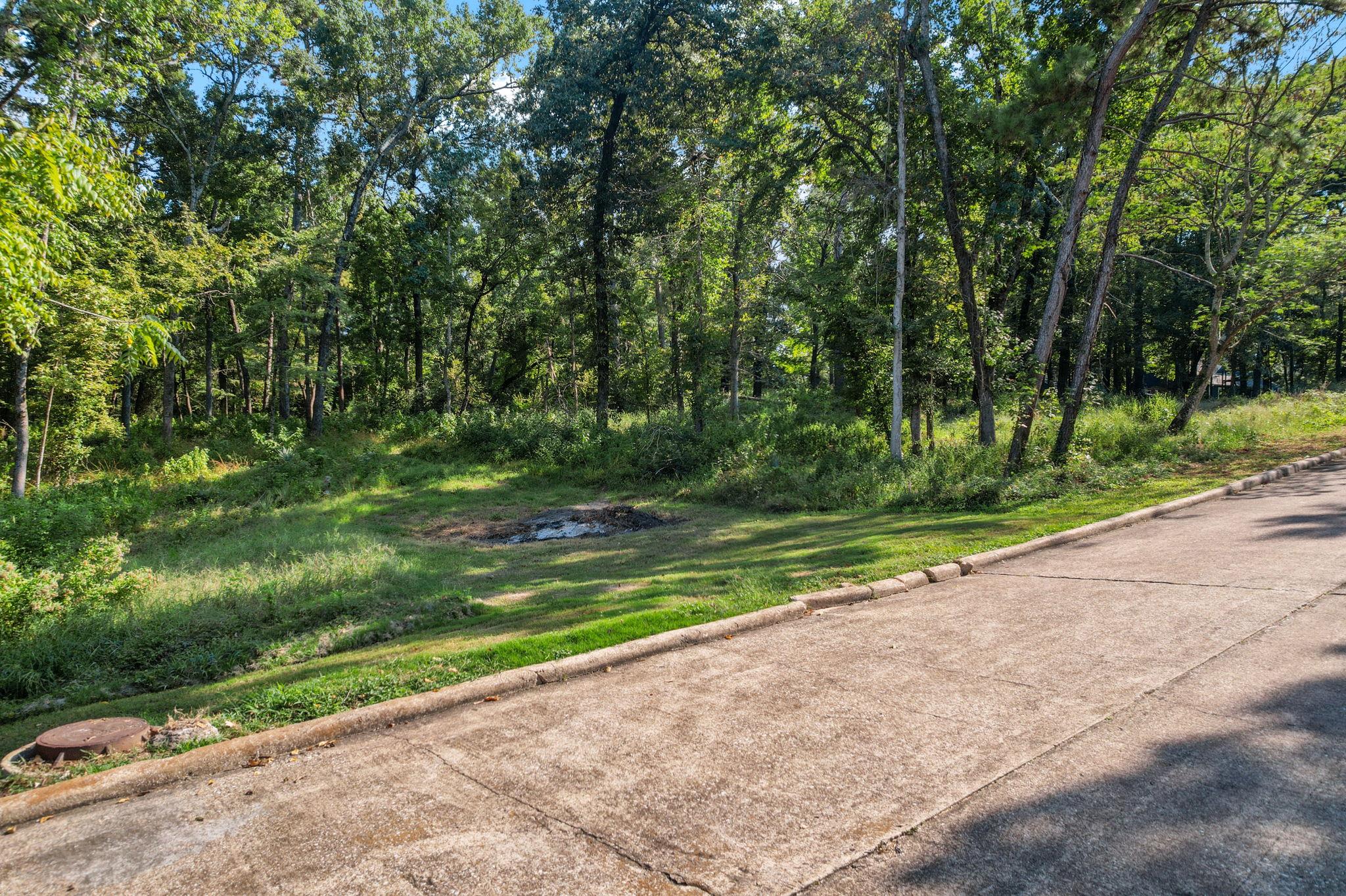 TBD Lake Oaks Cir # 79-80, Coldspring, TX 77331