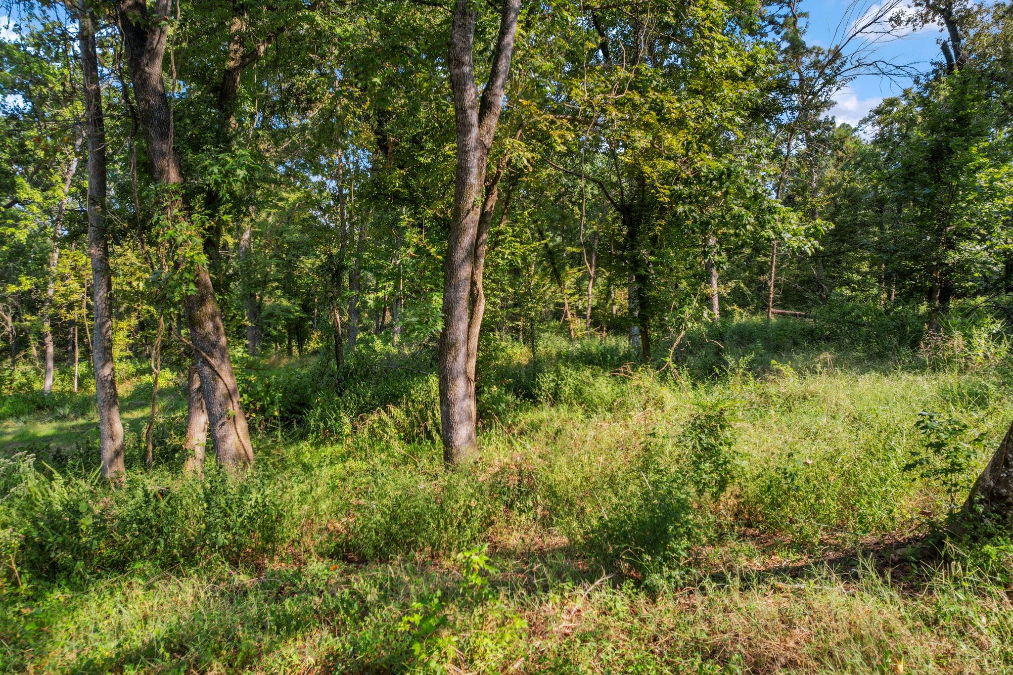 TBD Lake Oaks Cir # 79-80, Coldspring, TX 77331