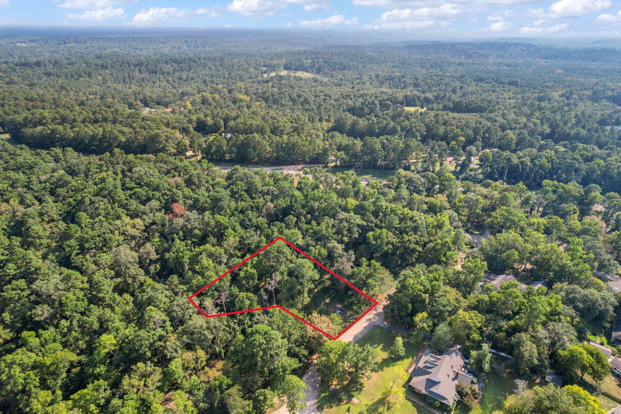 TBD Lake Oaks Cir # 79-80, Coldspring, TX 77331