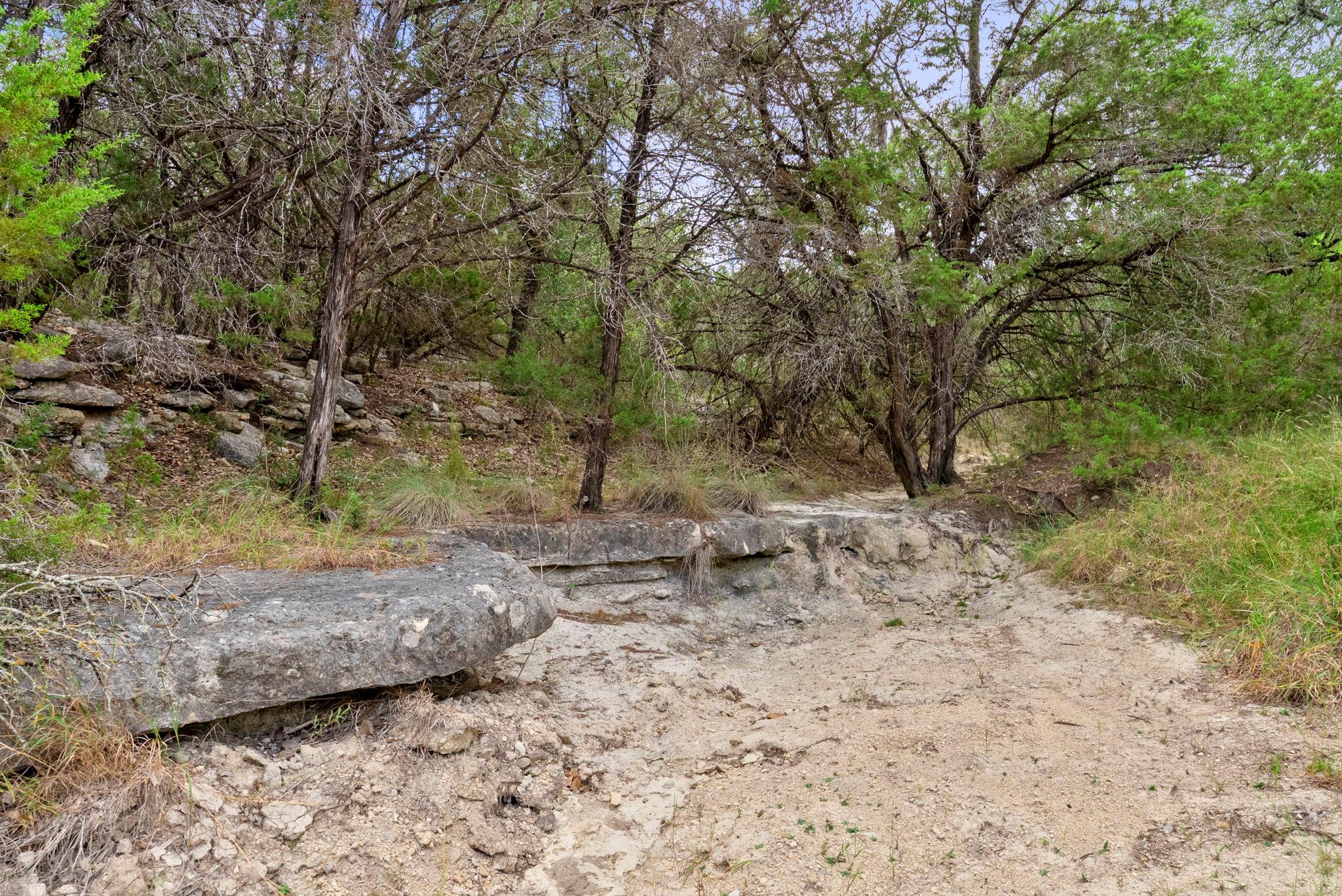 1250 Myers Creek Rd, Dripping Springs, TX 78620