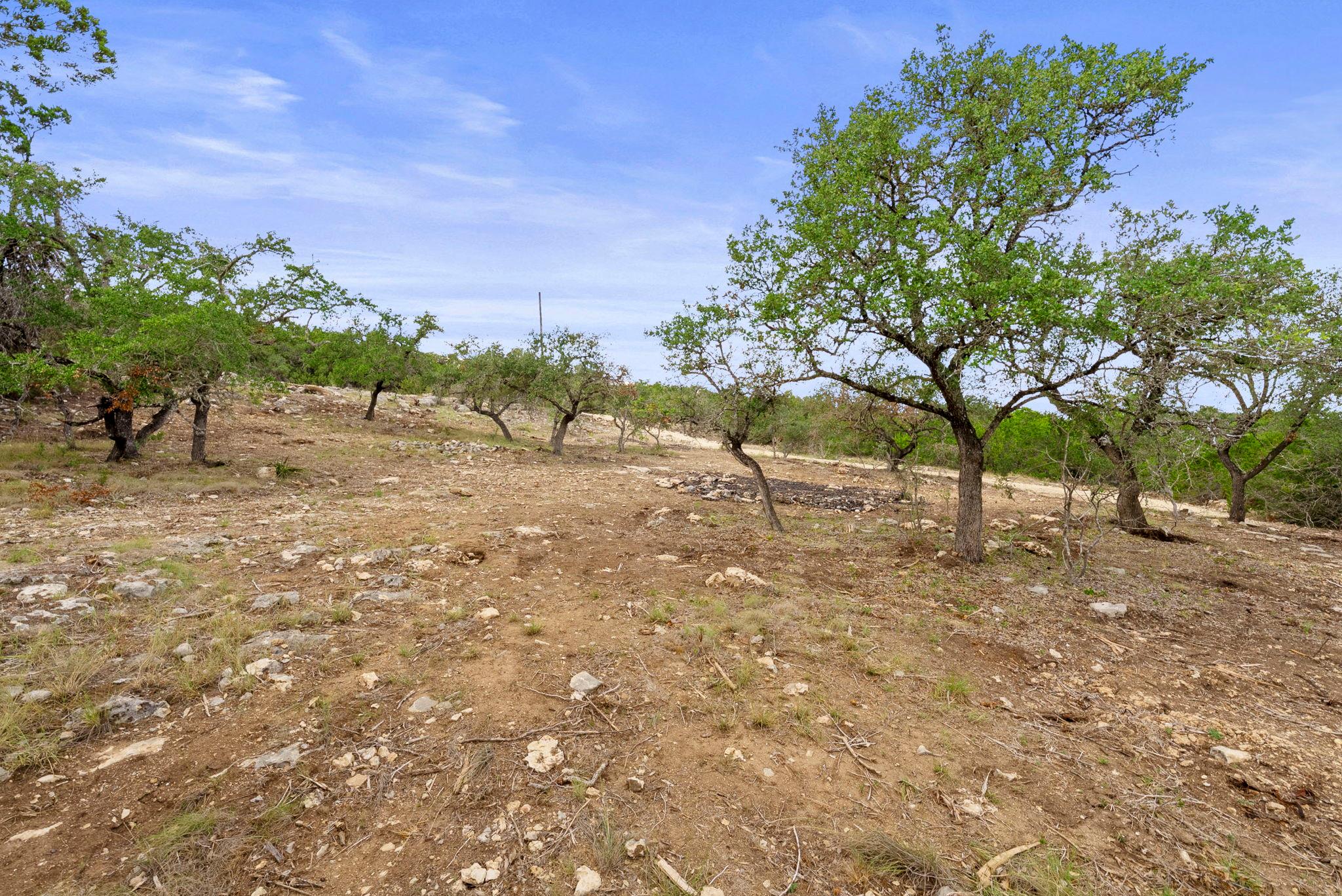 1250 Myers Creek Rd, Dripping Springs, TX 78620