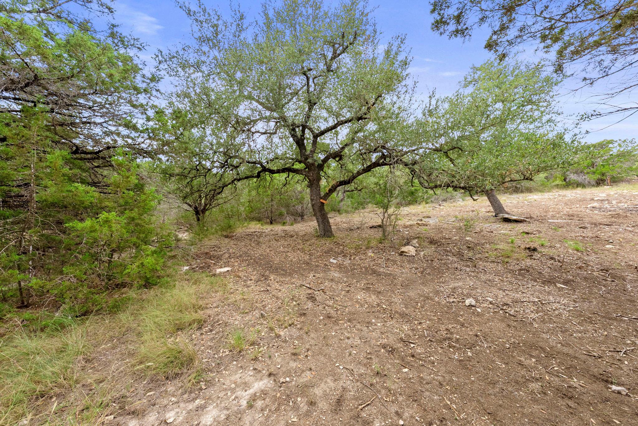 1250 Myers Creek Rd, Dripping Springs, TX 78620
