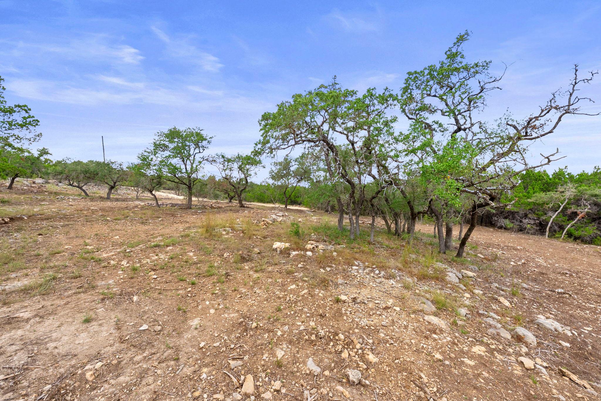 1250 Myers Creek Rd, Dripping Springs, TX 78620