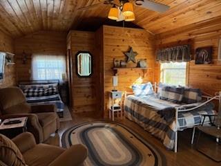 504 N Avenue N, Johnson City, TX 78636