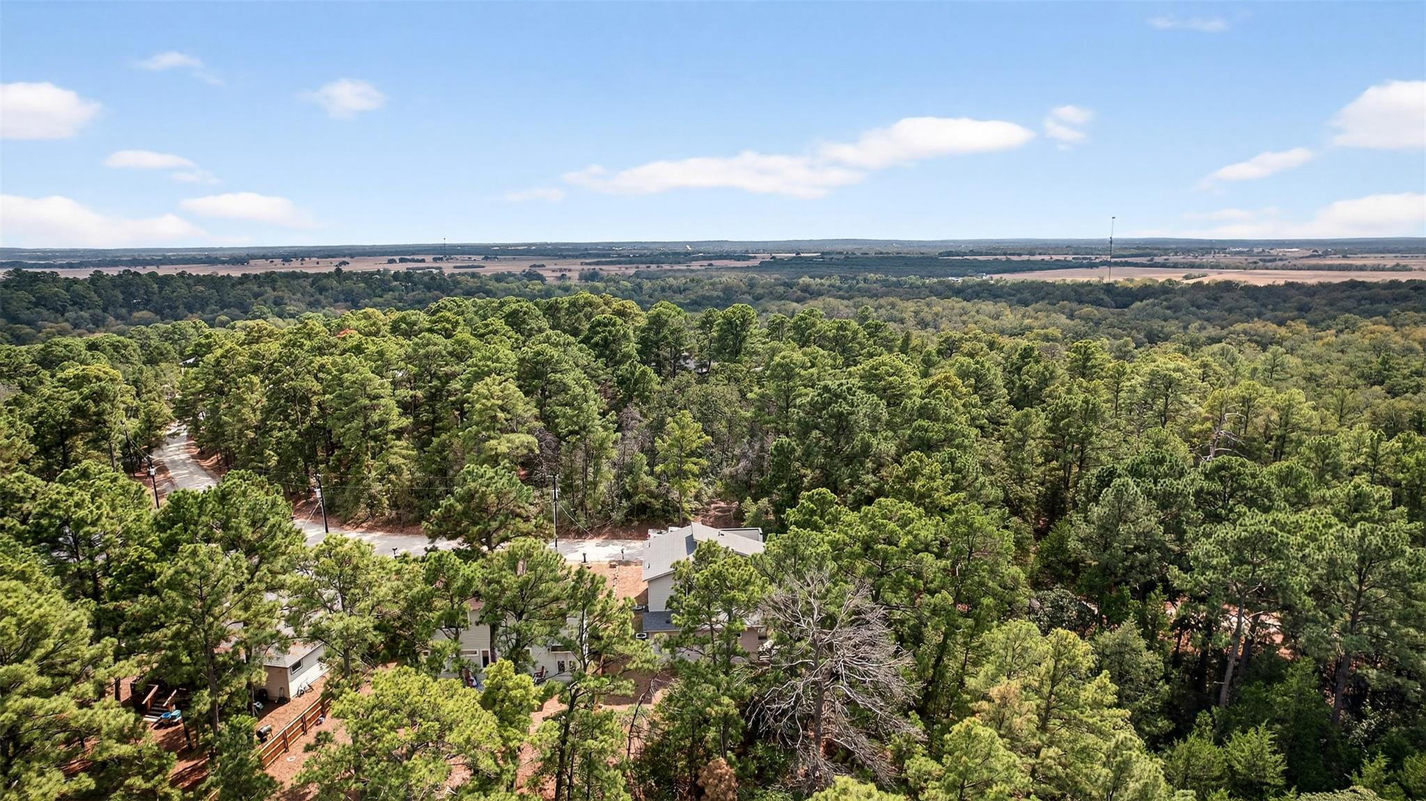 201 Hanauma Dr, Bastrop, TX 78602