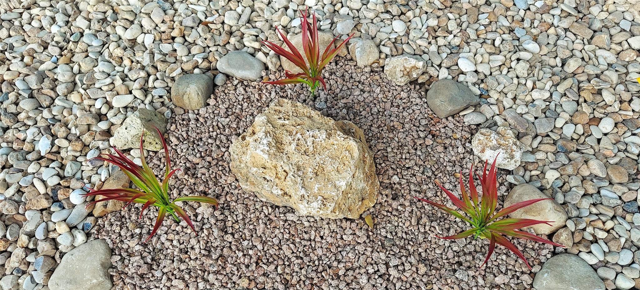 17609 Soapberry Cv, Elgin, TX 78621