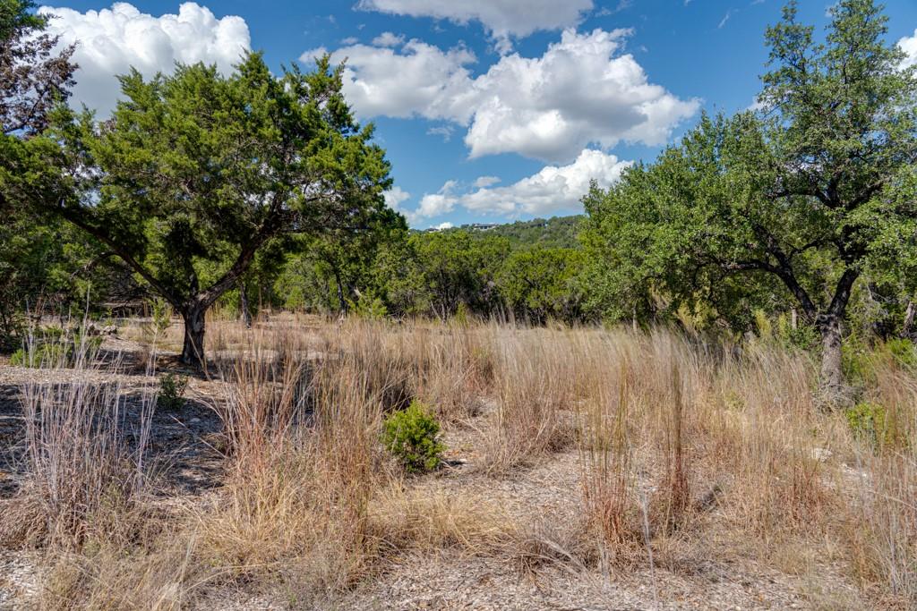 8601 Kelly Cv, Jonestown, TX 78645