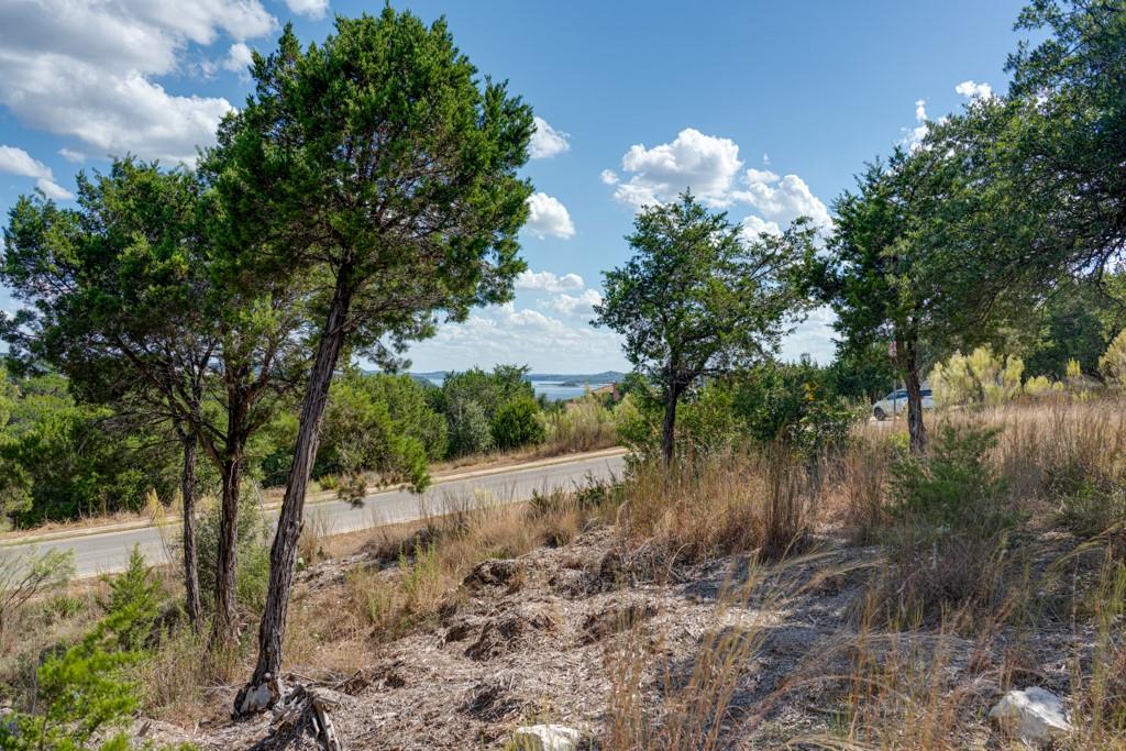 8601 Kelly Cv, Jonestown, TX 78645