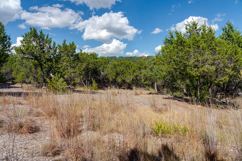 8601 Kelly Cv, Jonestown, TX 78645