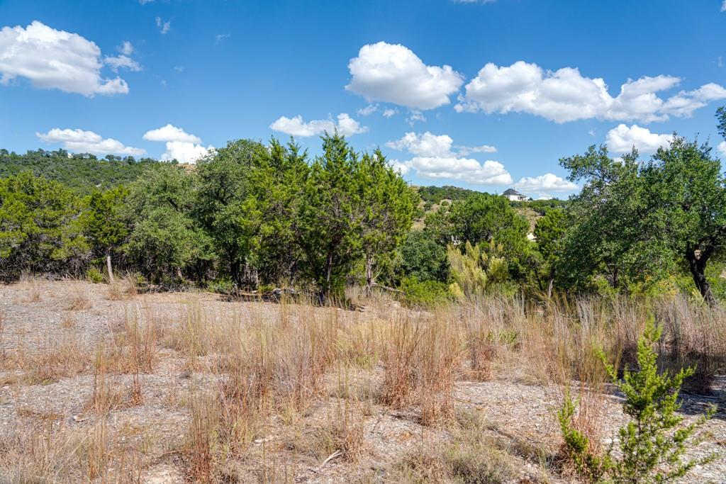 8601 Kelly Cv, Jonestown, TX 78645