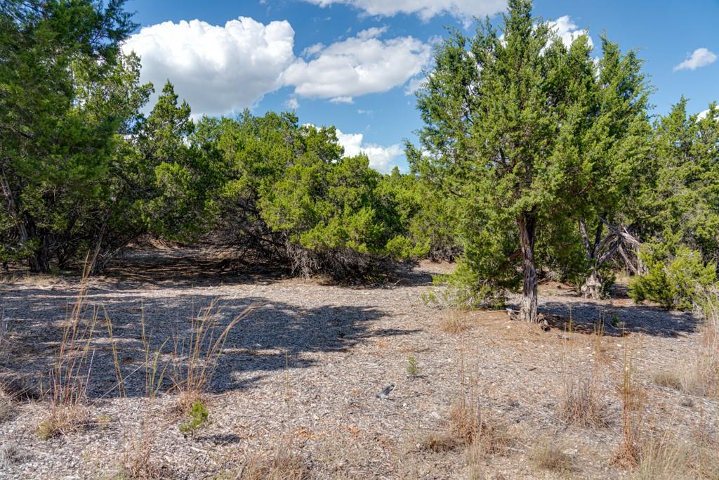 8601 Kelly Cv, Jonestown, TX 78645