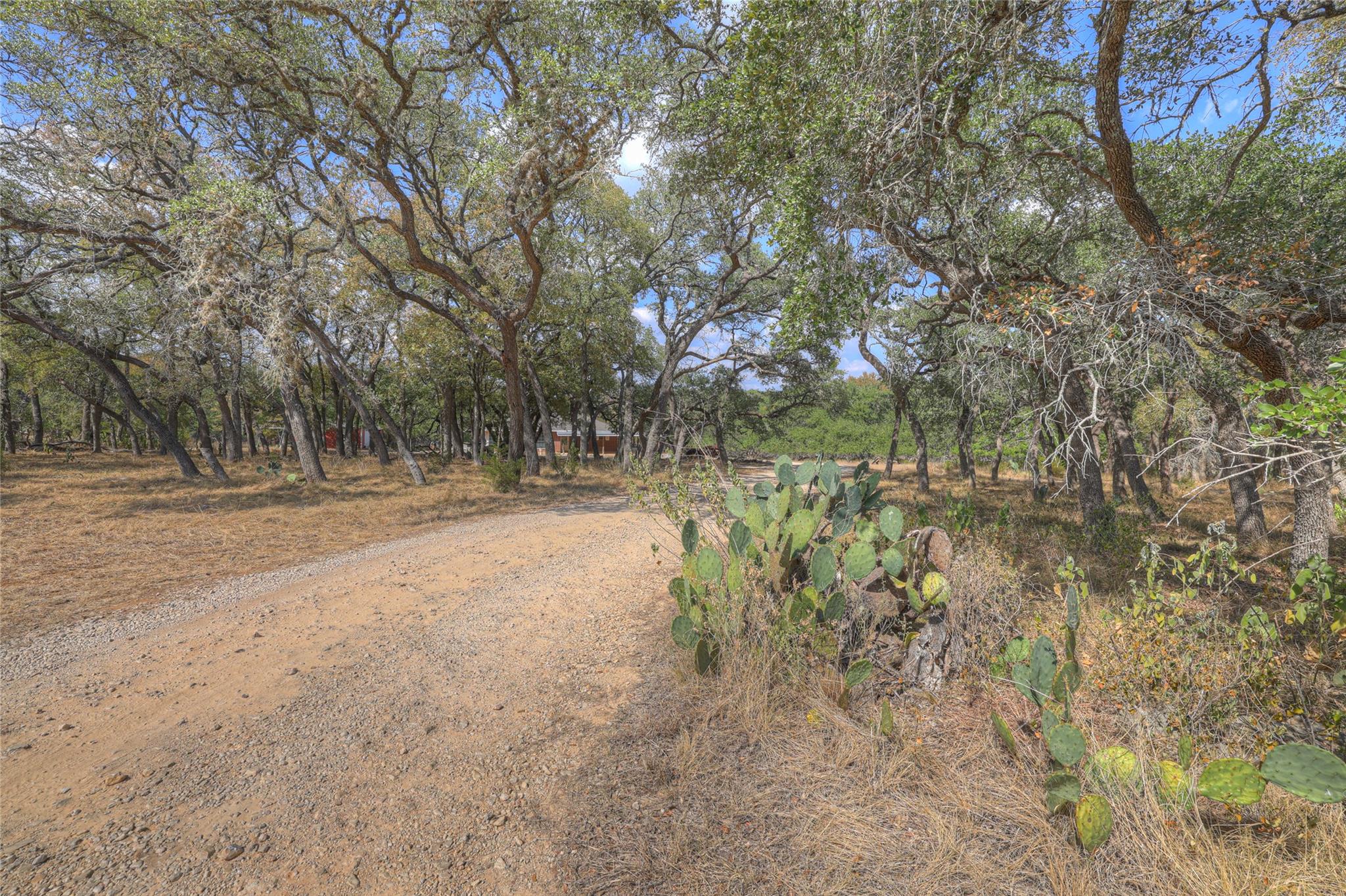 2011 Mustang Ln, San Marcos, TX 78666