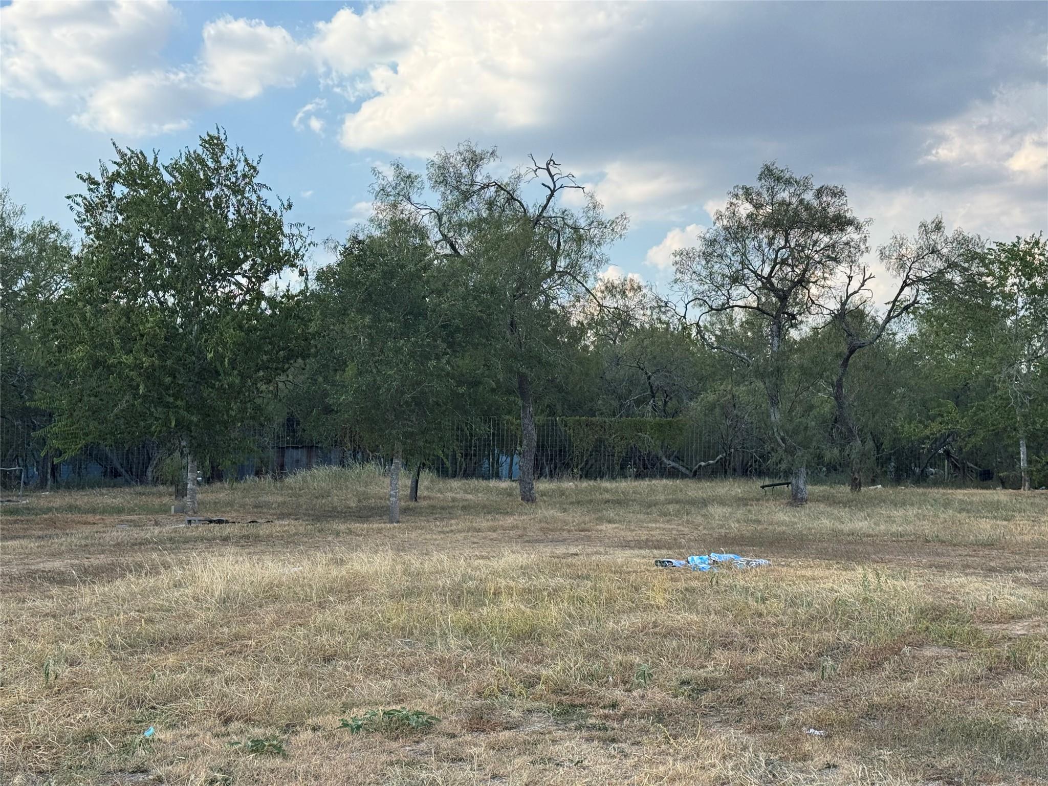 490 Rosewood Dr, Dale, TX 78616