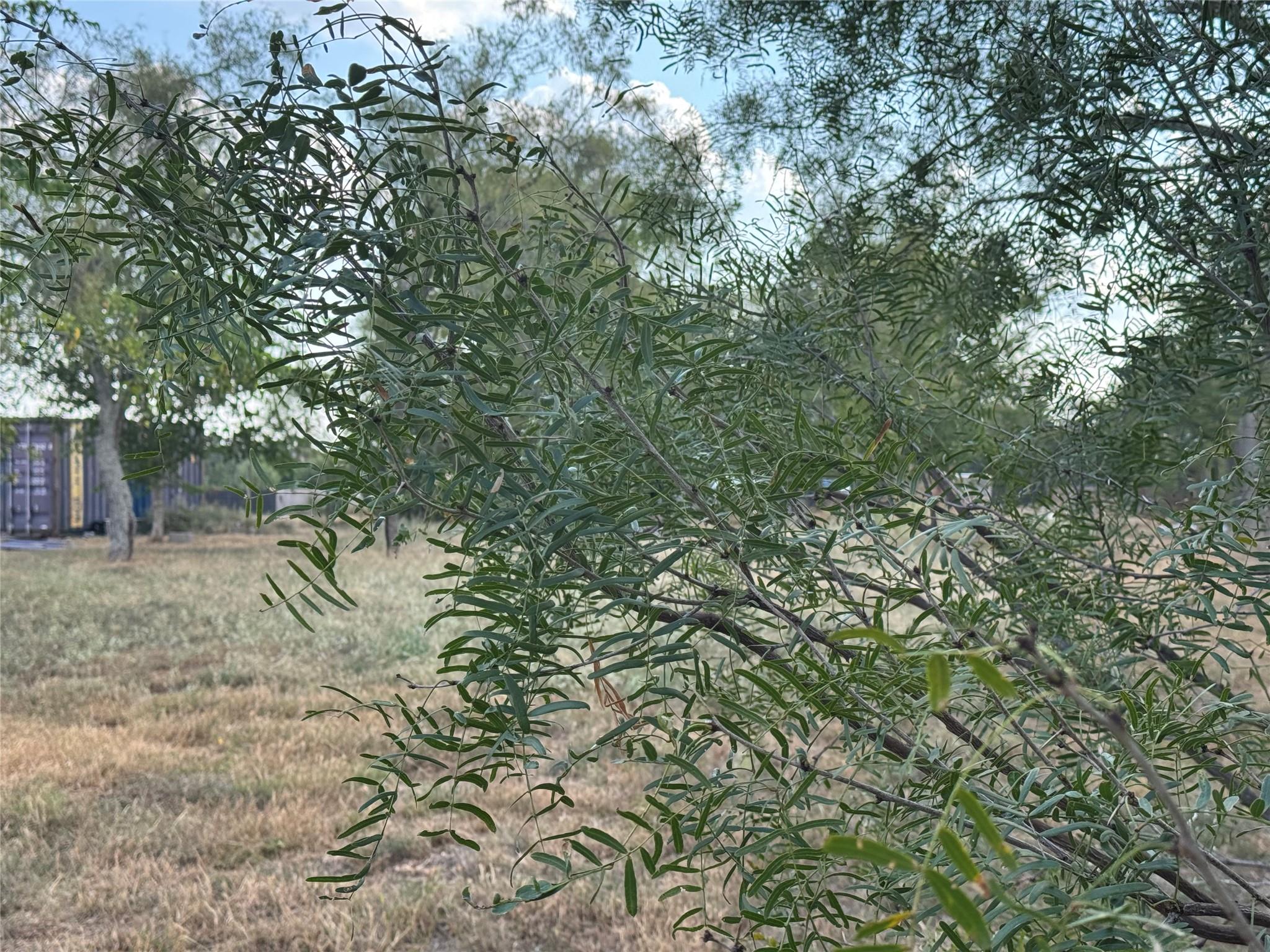 490 Rosewood Dr, Dale, TX 78616