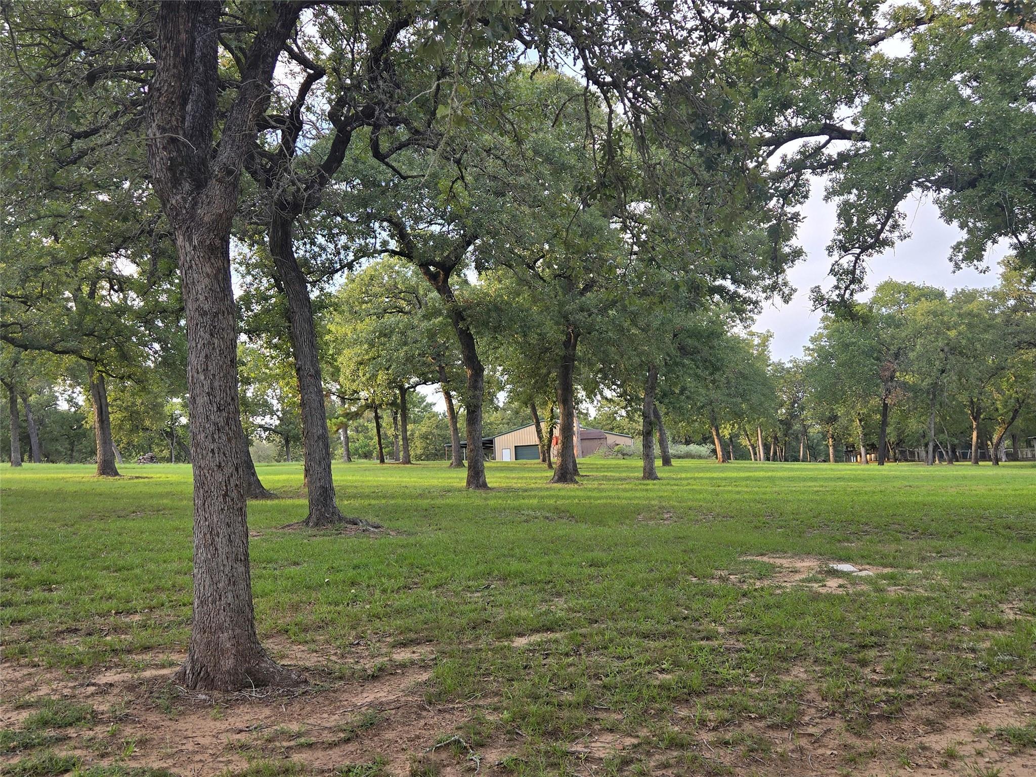 2438 Fm 535 Highway, Rosanky, TX 78953