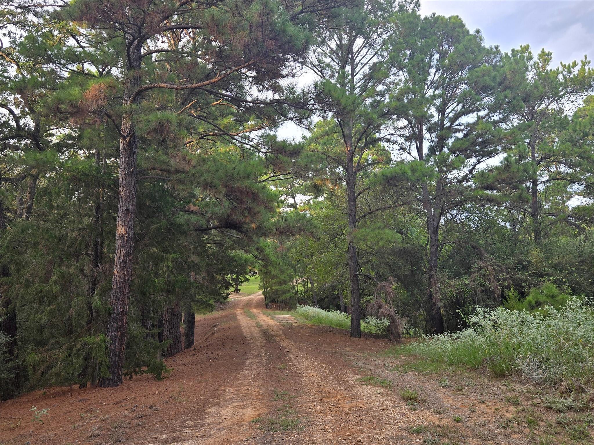 2438 Fm 535 Highway, Rosanky, TX 78953