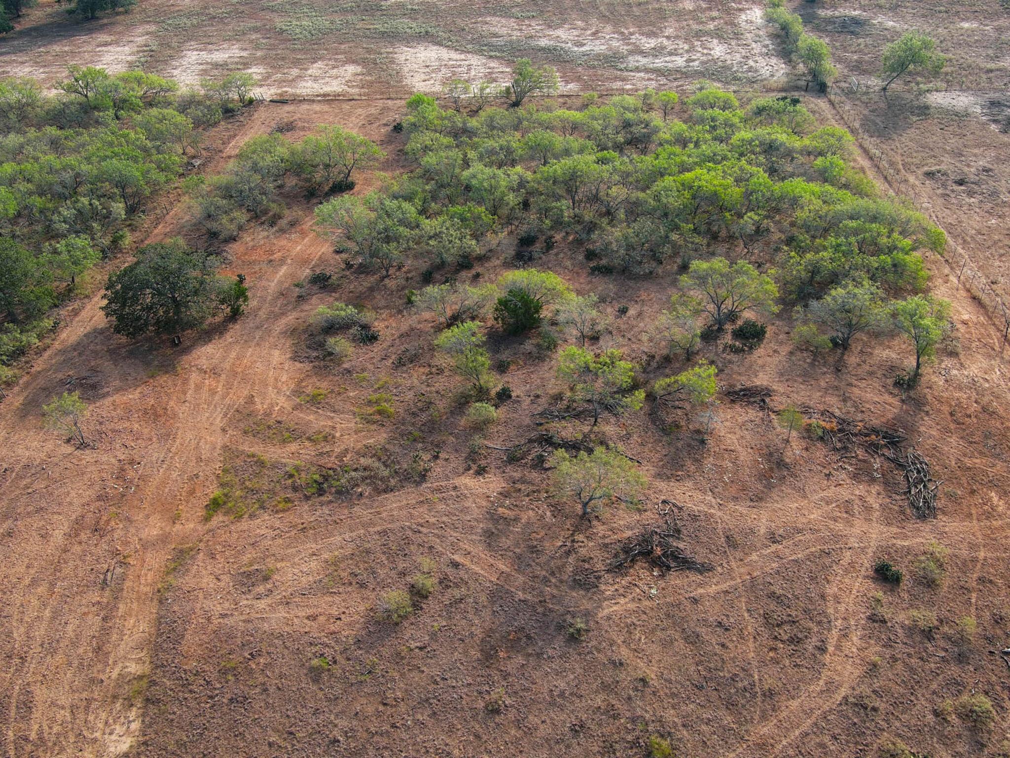 TBD Chalk Rd, Harwood, TX 78632