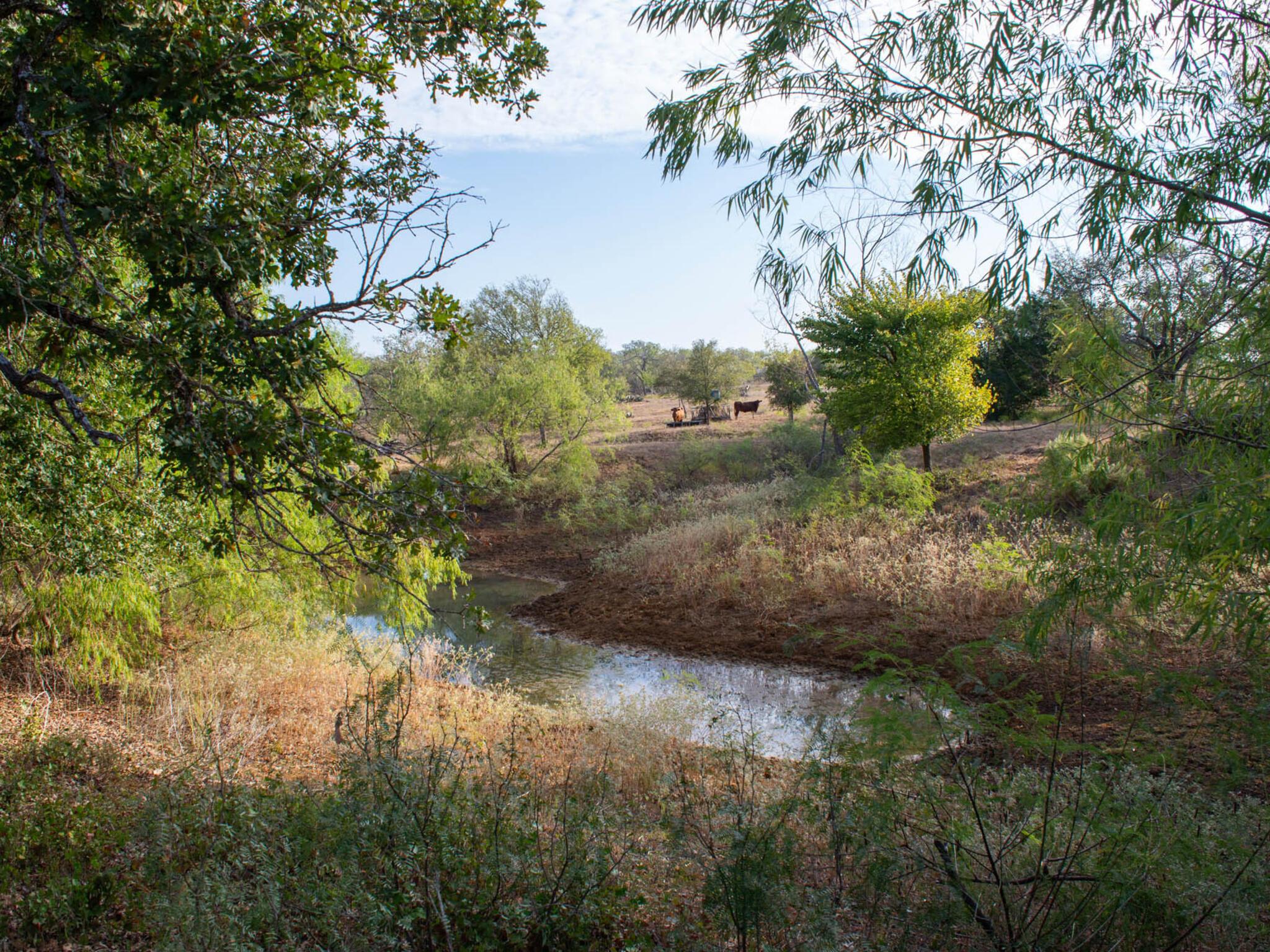 TBD Chalk Rd, Harwood, TX 78632