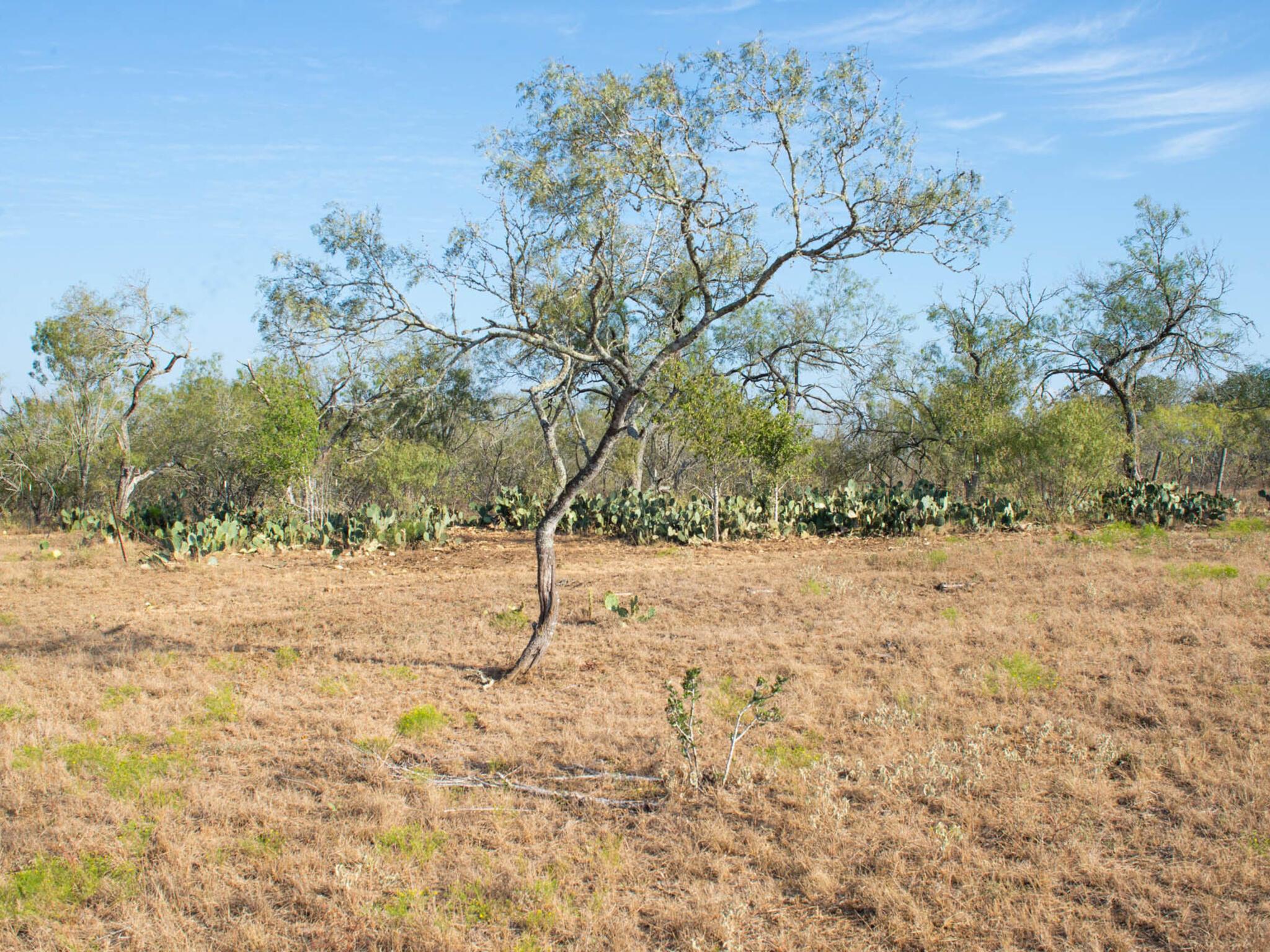 TBD Chalk Rd, Harwood, TX 78632