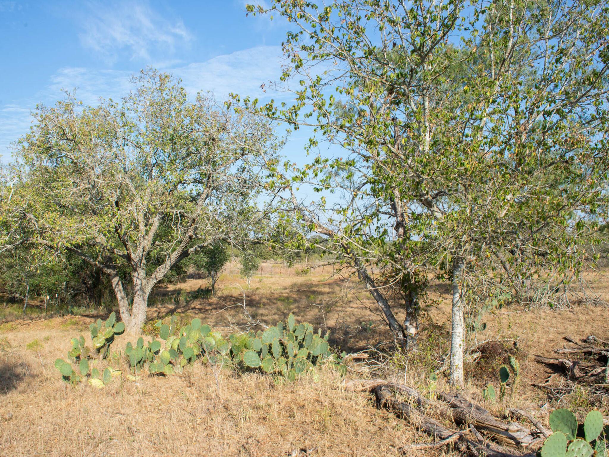 TBD Chalk Rd, Harwood, TX 78632