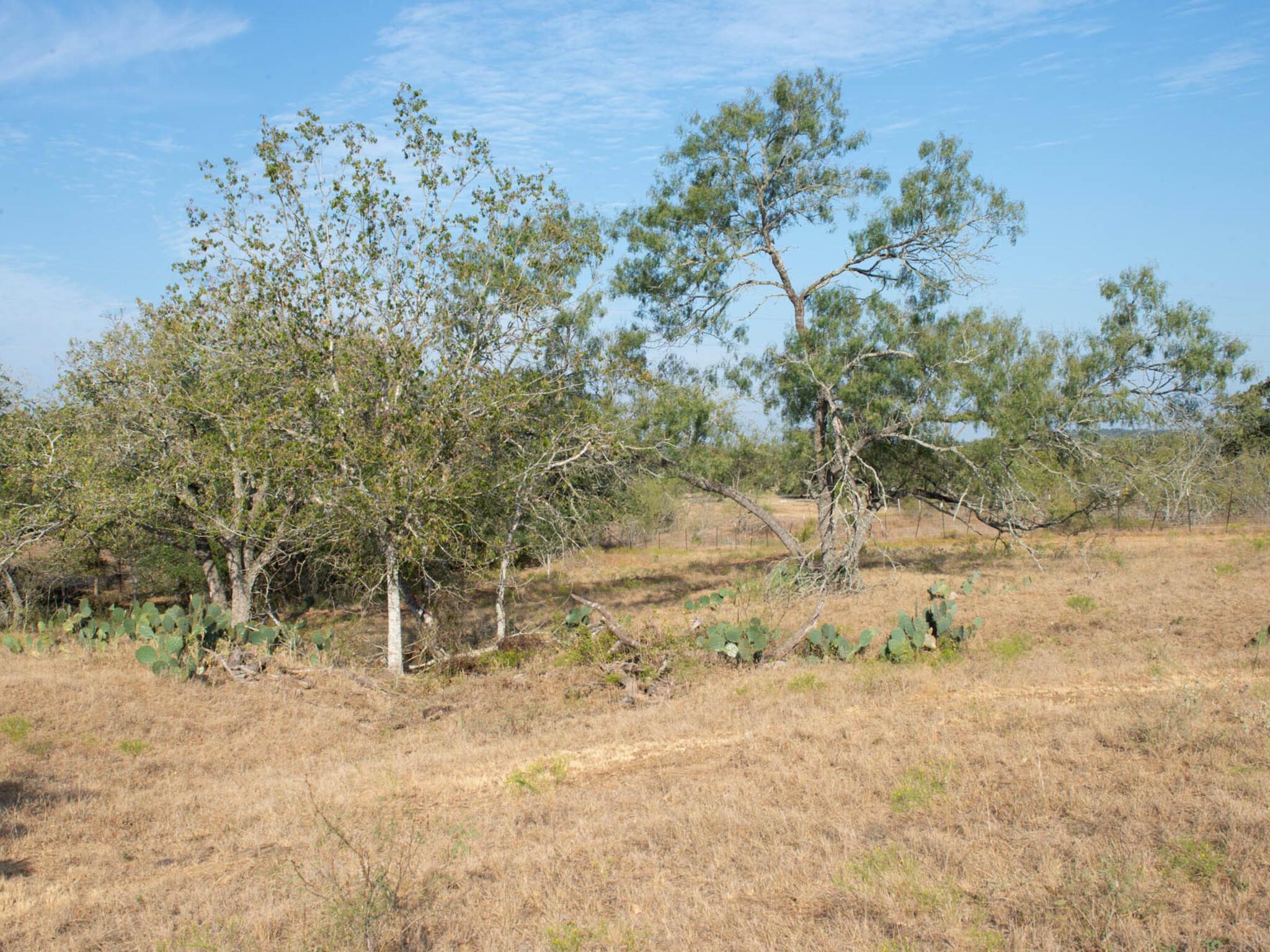 TBD Chalk Rd, Harwood, TX 78632