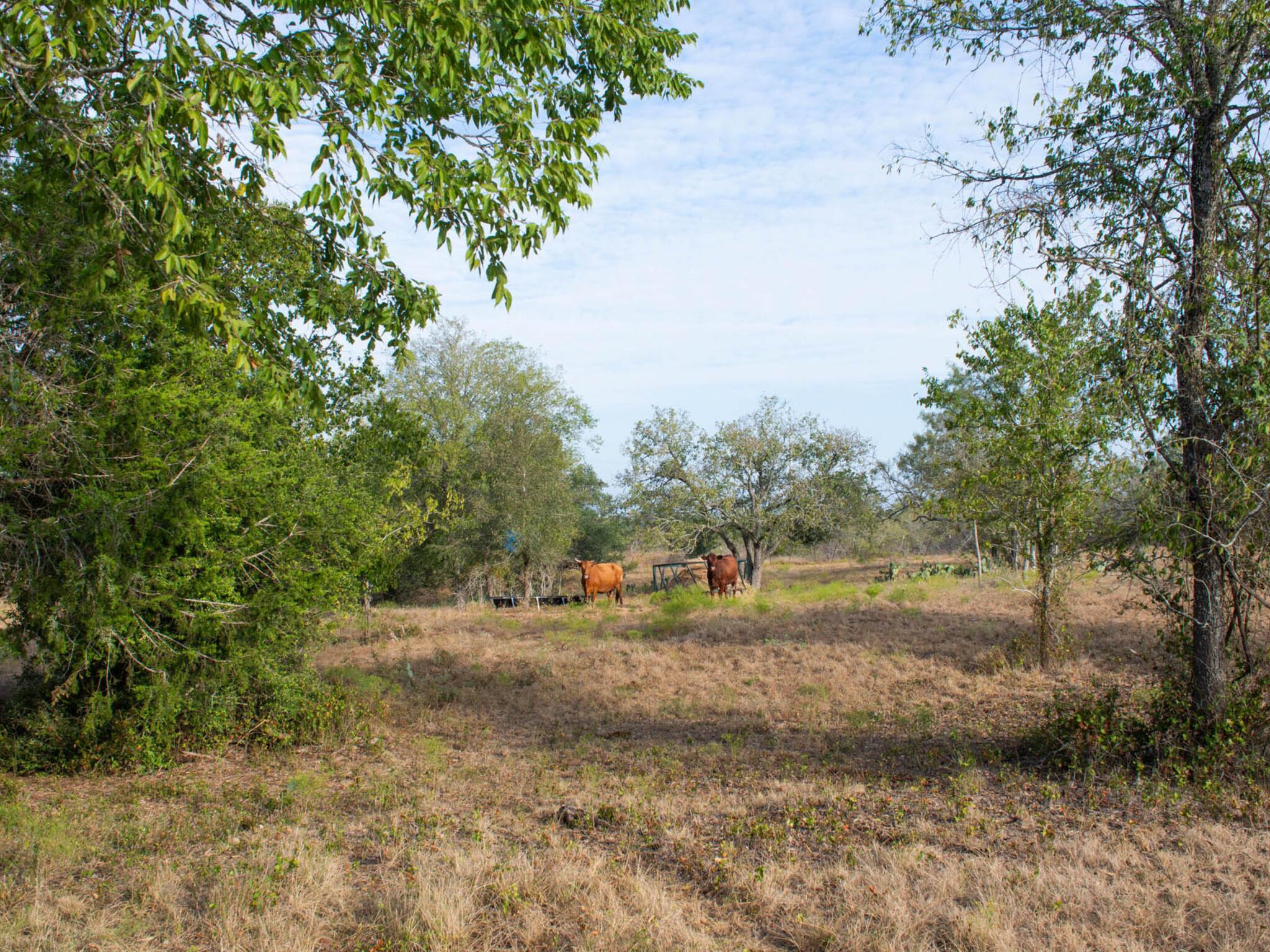 TBD Chalk Rd, Harwood, TX 78632