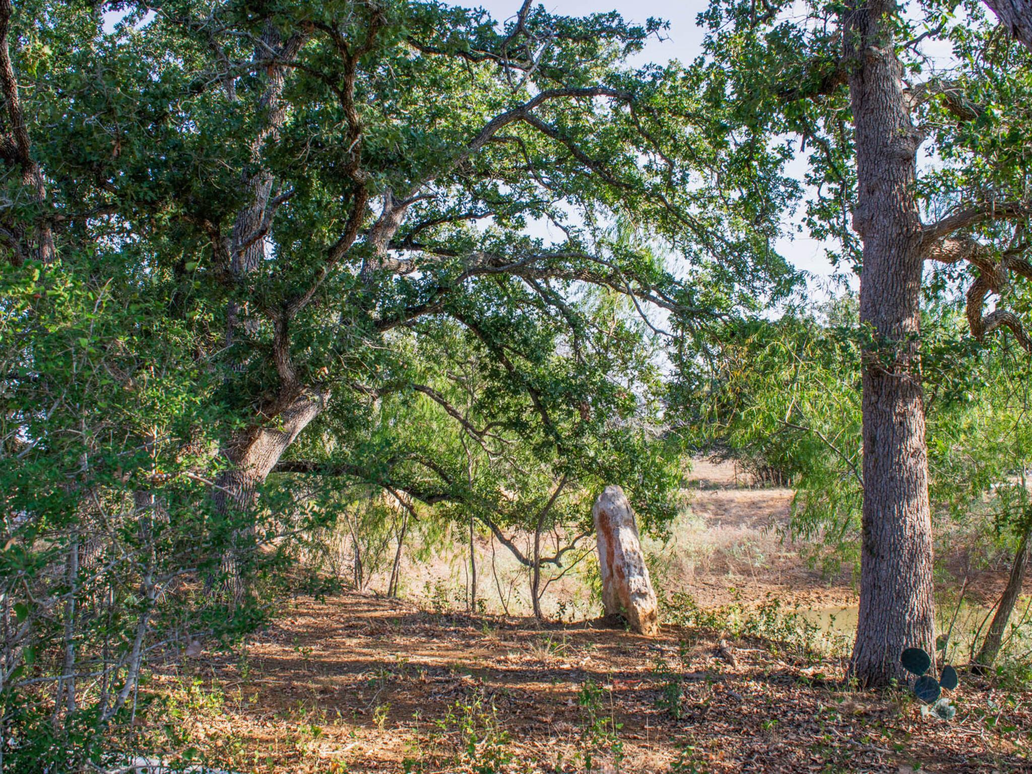 TBD Chalk Rd, Harwood, TX 78632