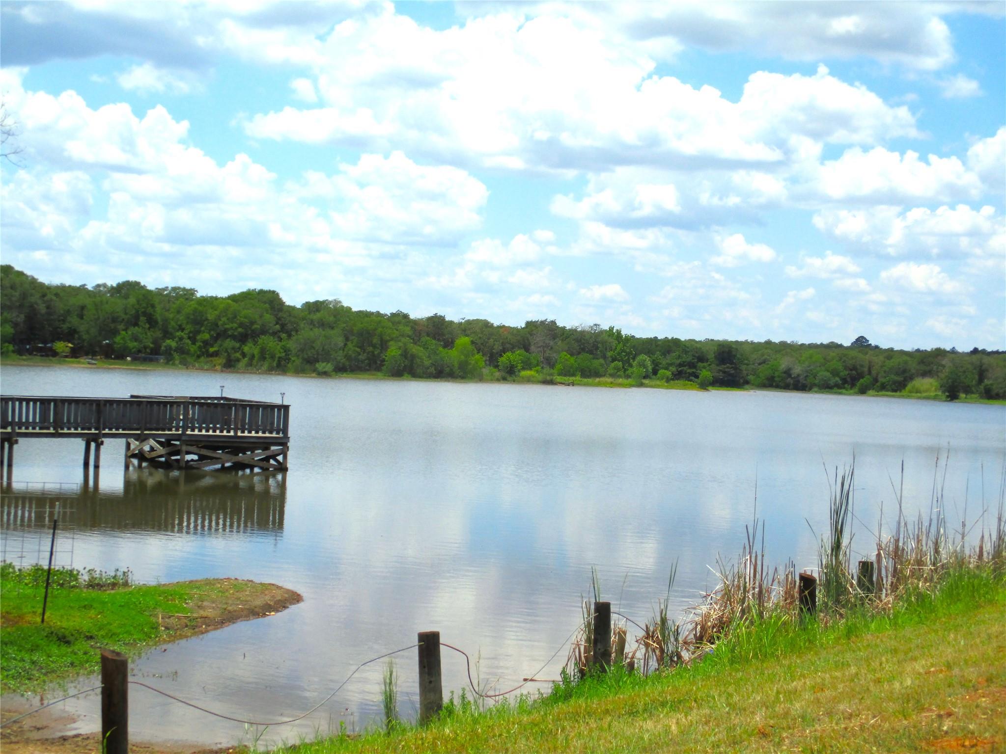 184 Arrowhead Dr, Smithville, TX 78957