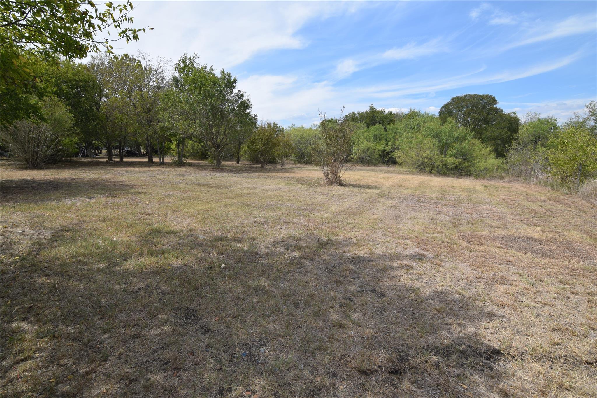 12312 Mustang Mesa Dr, Buda, TX 78610