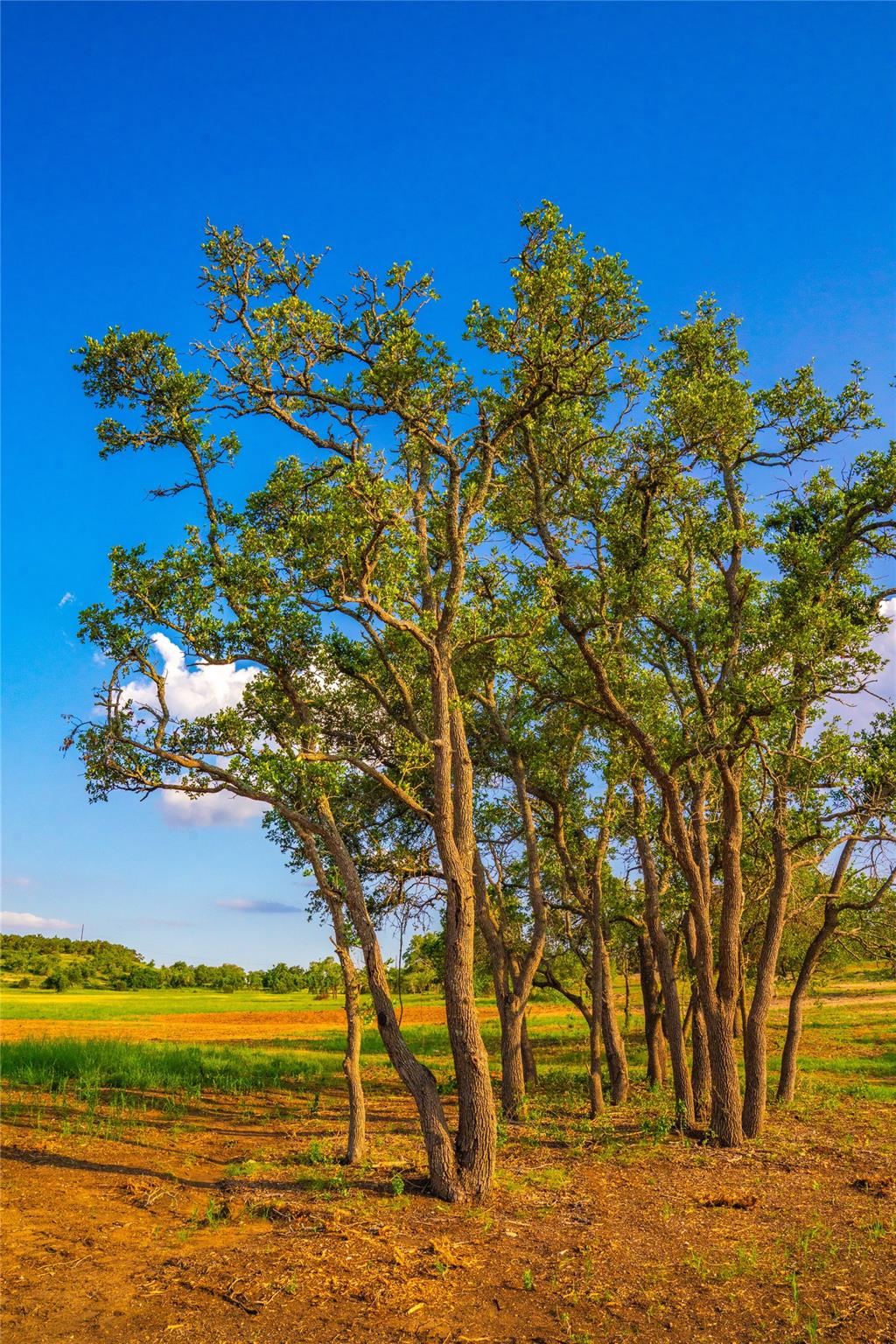 Dripping Springs, TX 78676