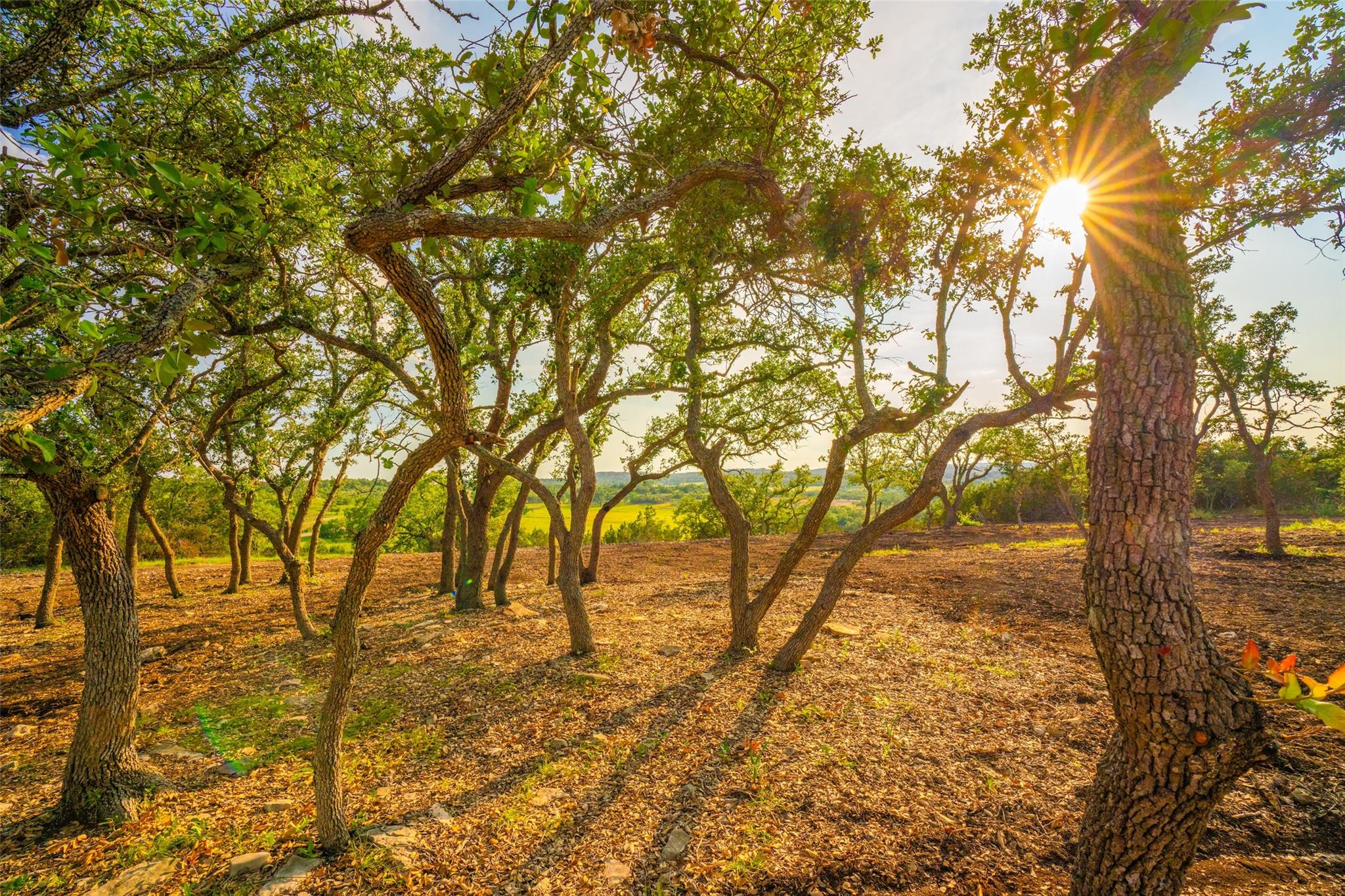 Dripping Springs, TX 78676