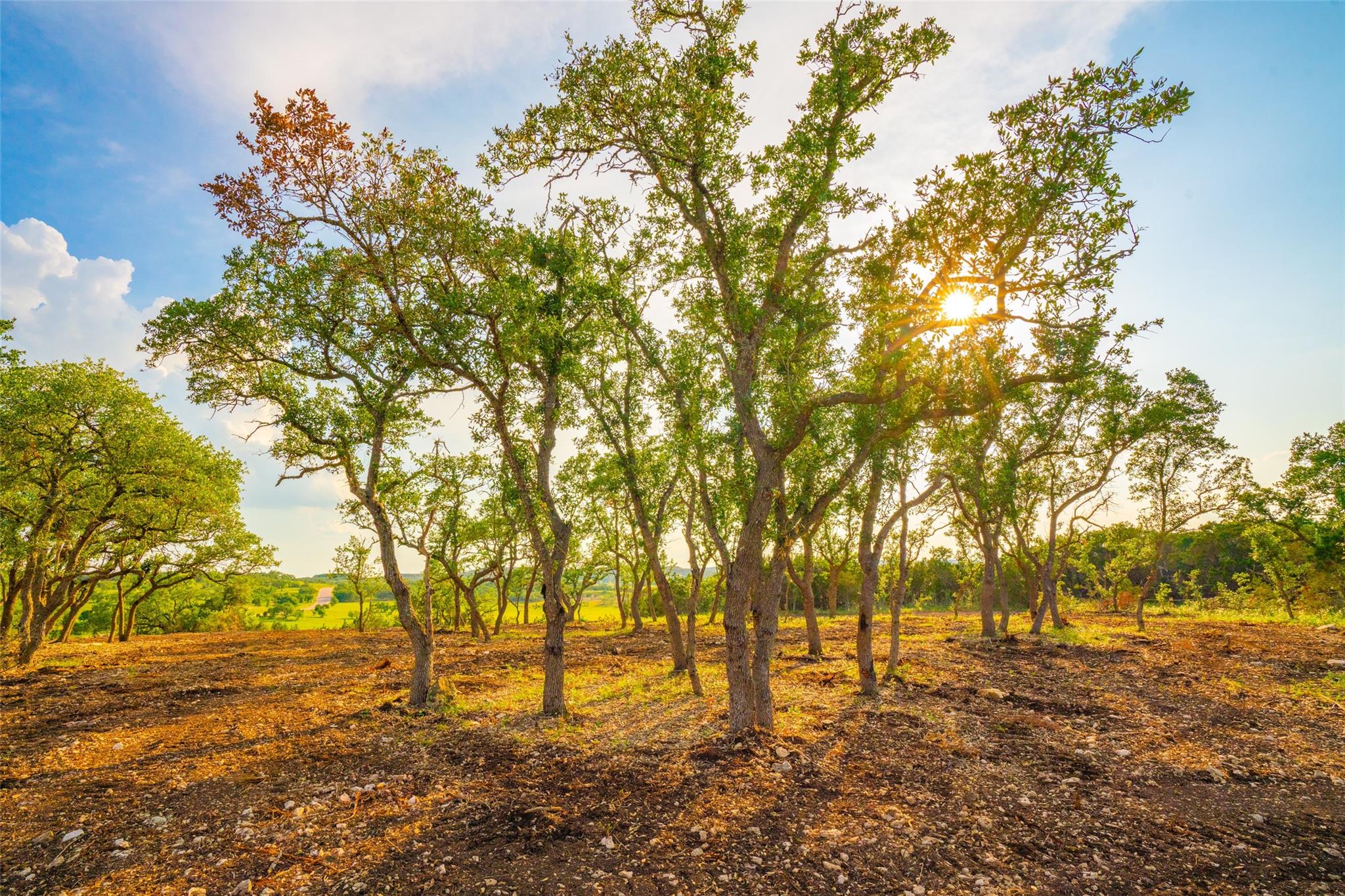 Dripping Springs, TX 78676