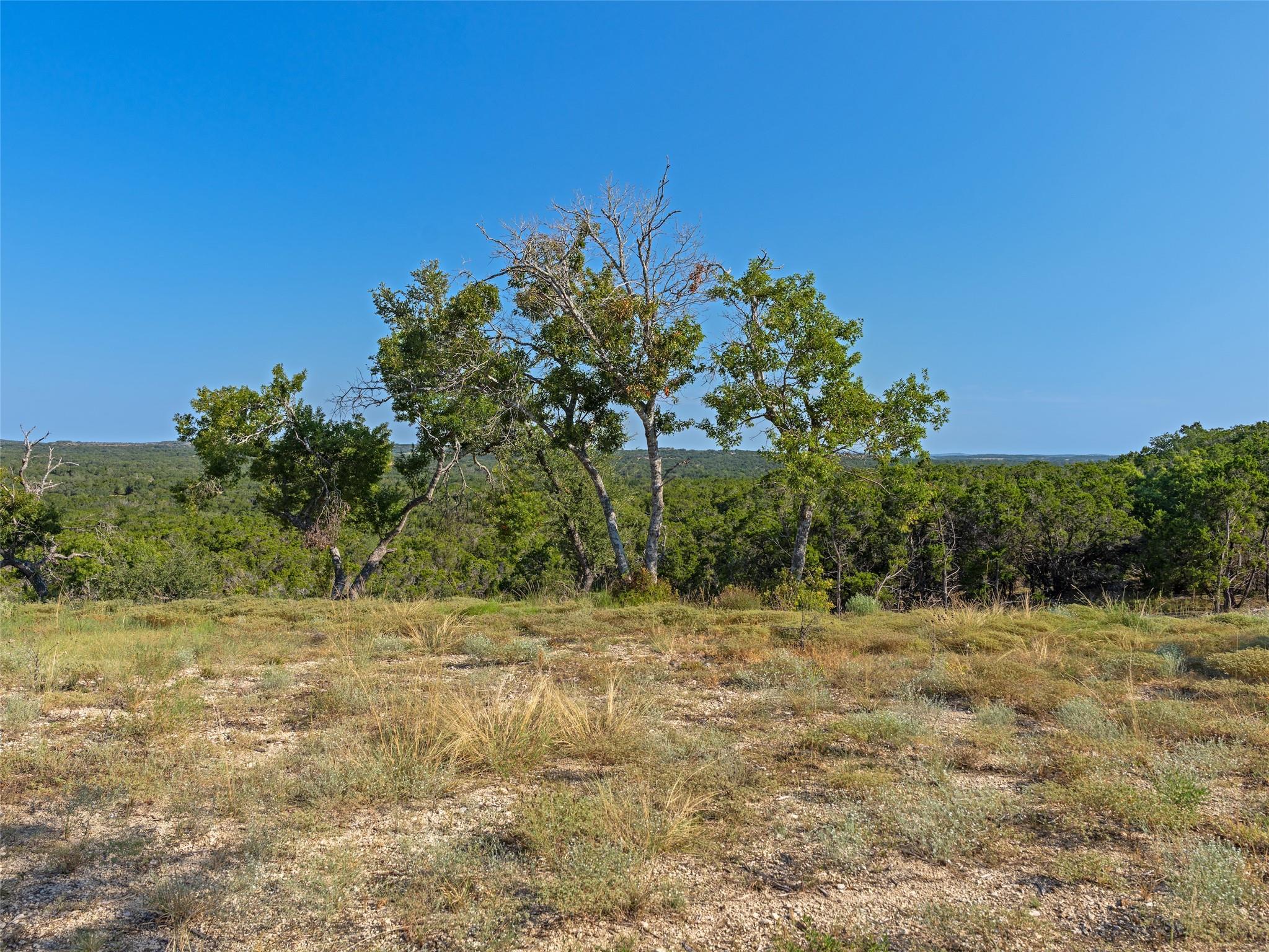 Dripping Springs, TX 78676