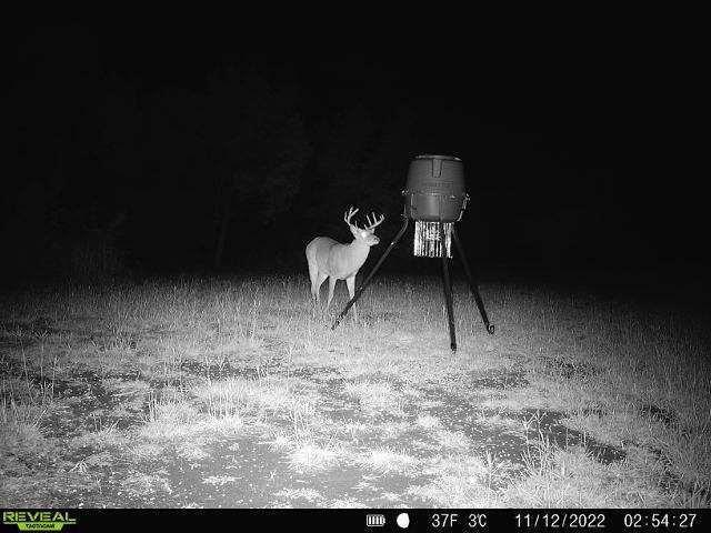 22303 Honeycomb Ln, Leander, TX 78641