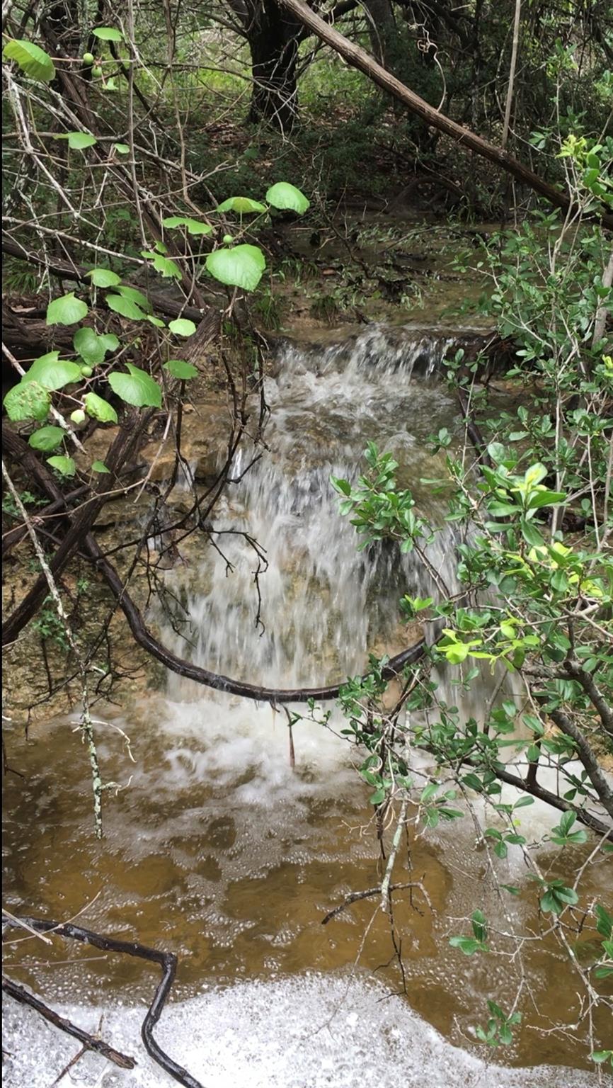 22303 Honeycomb Ln, Leander, TX 78641