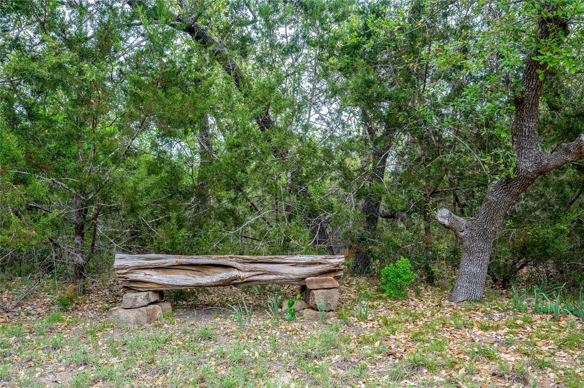 11134 Bonham Ranch Rd, Dripping Springs, TX 78620