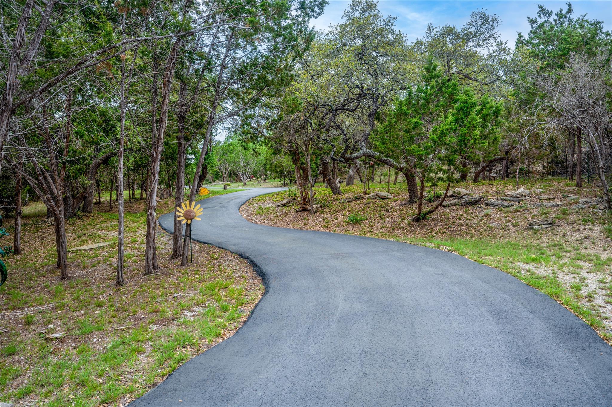 11134 Bonham Ranch Rd, Dripping Springs, TX 78620